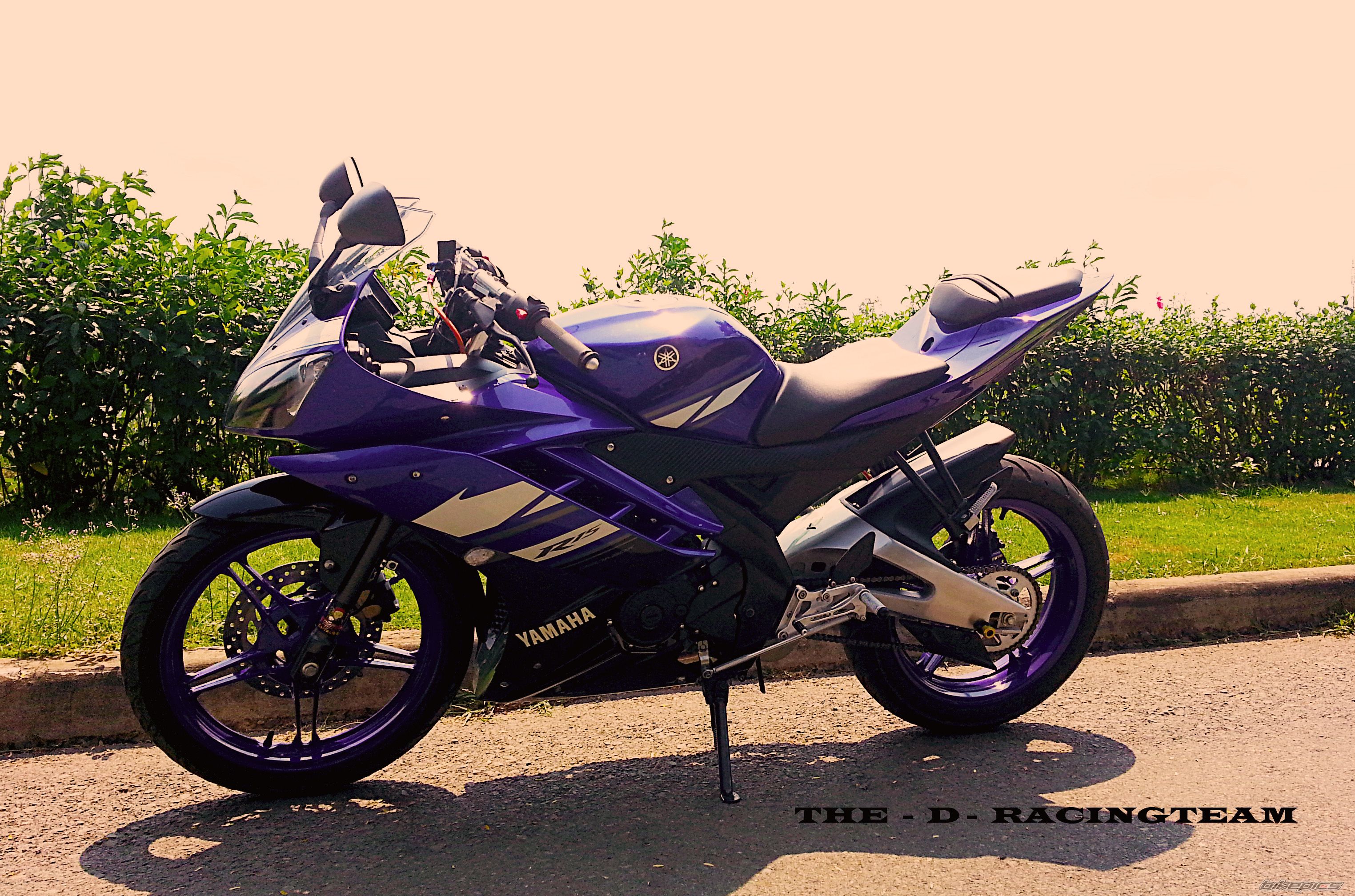Photo 2541553