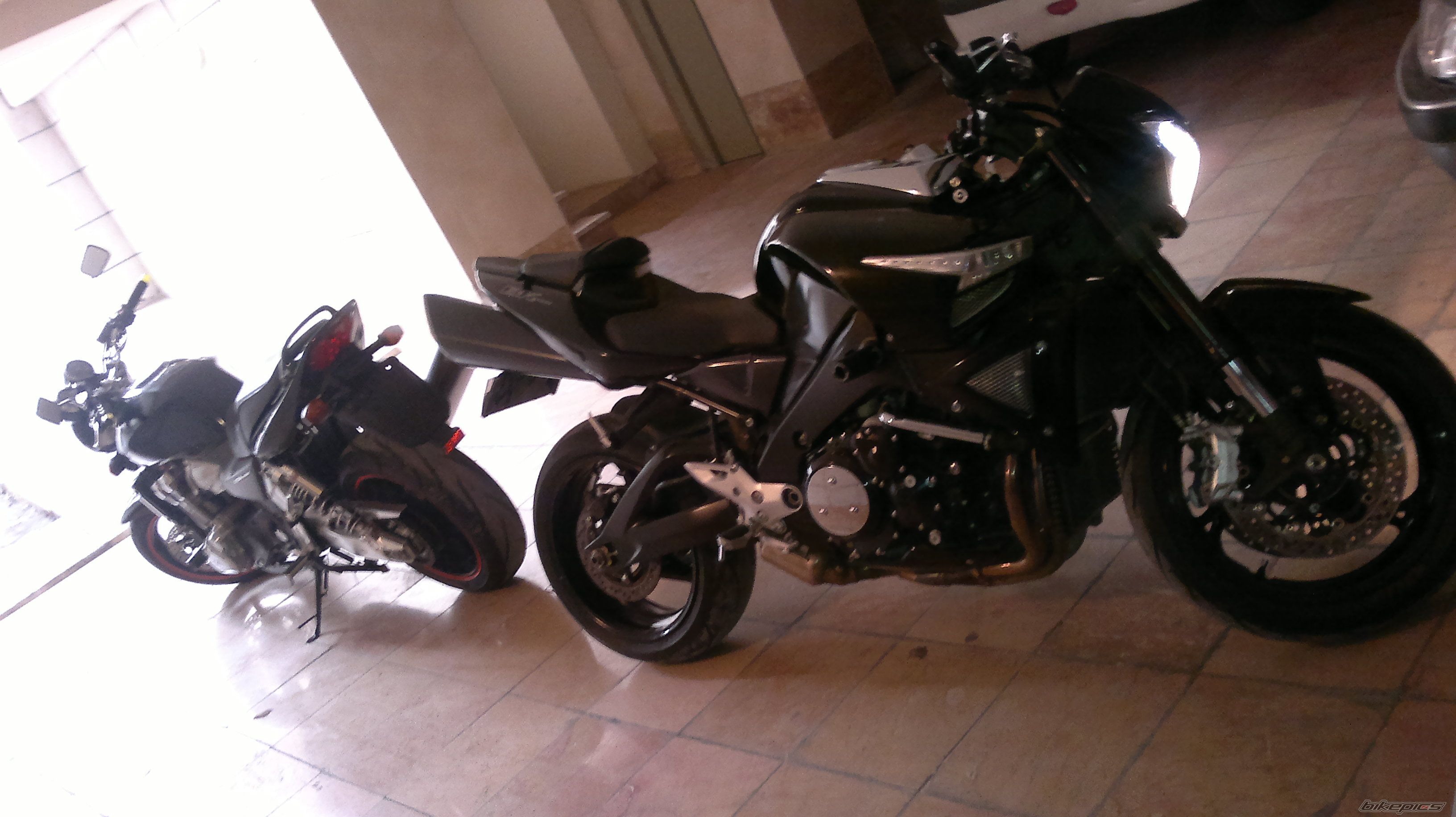 Photo 2541593
