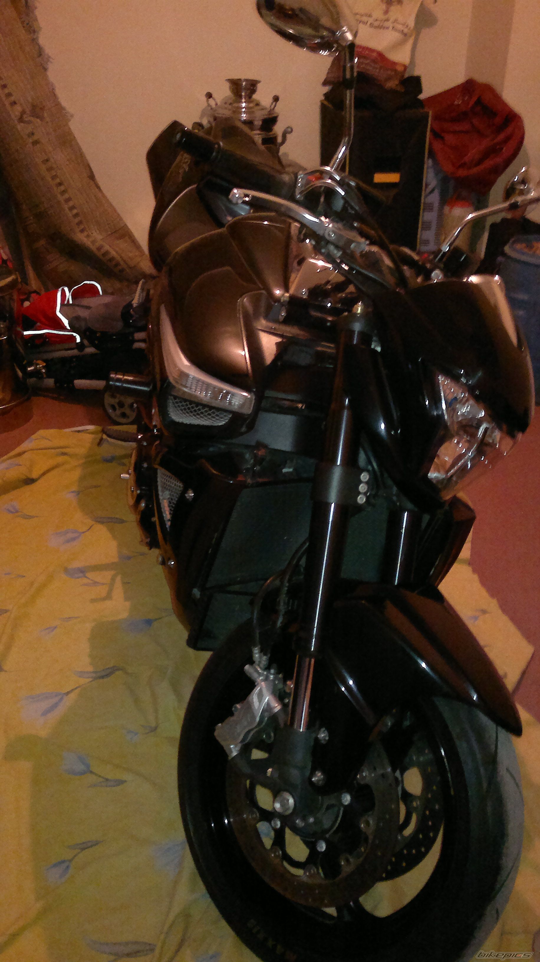 Photo 2541619