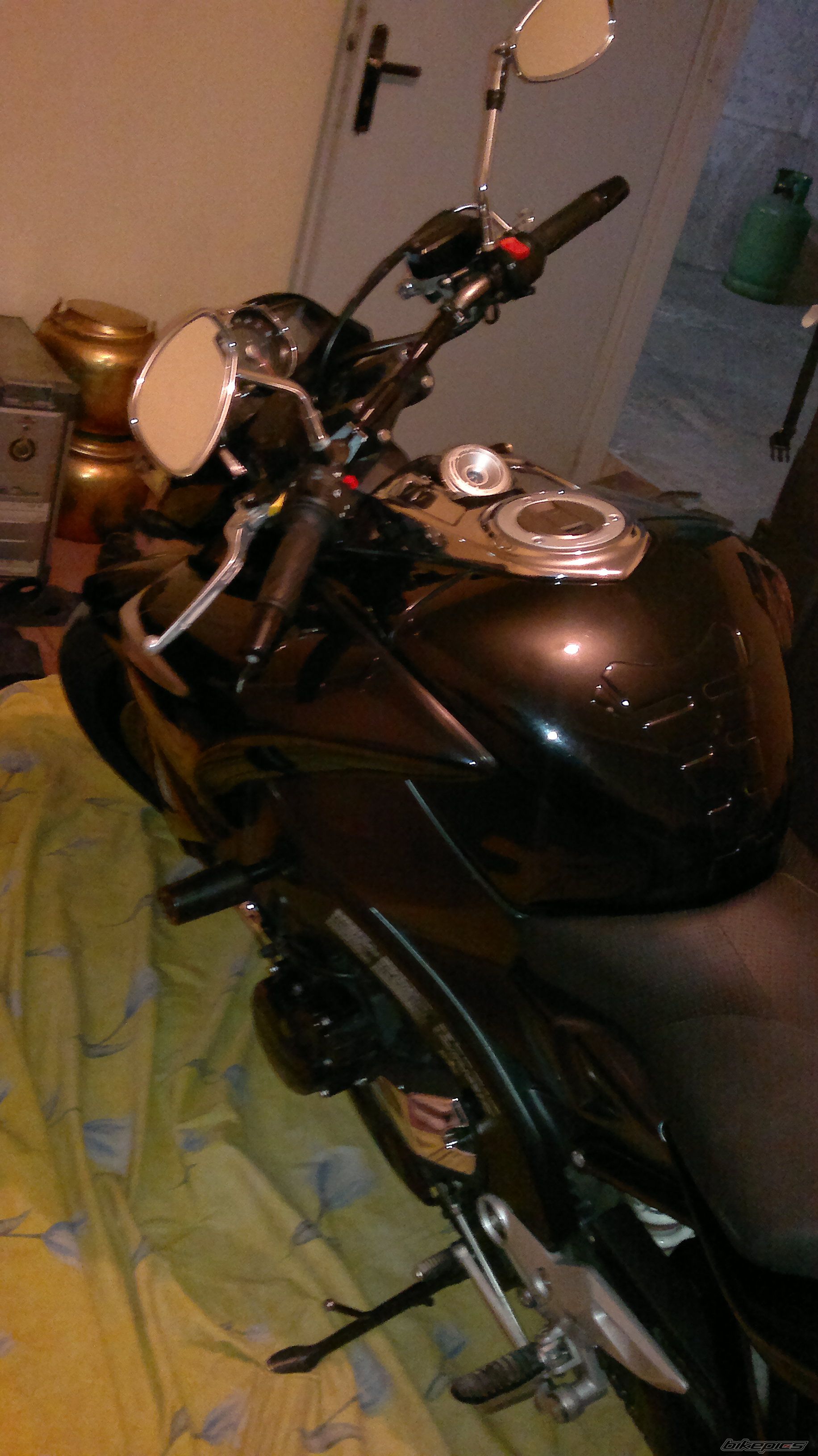 Photo 2541622