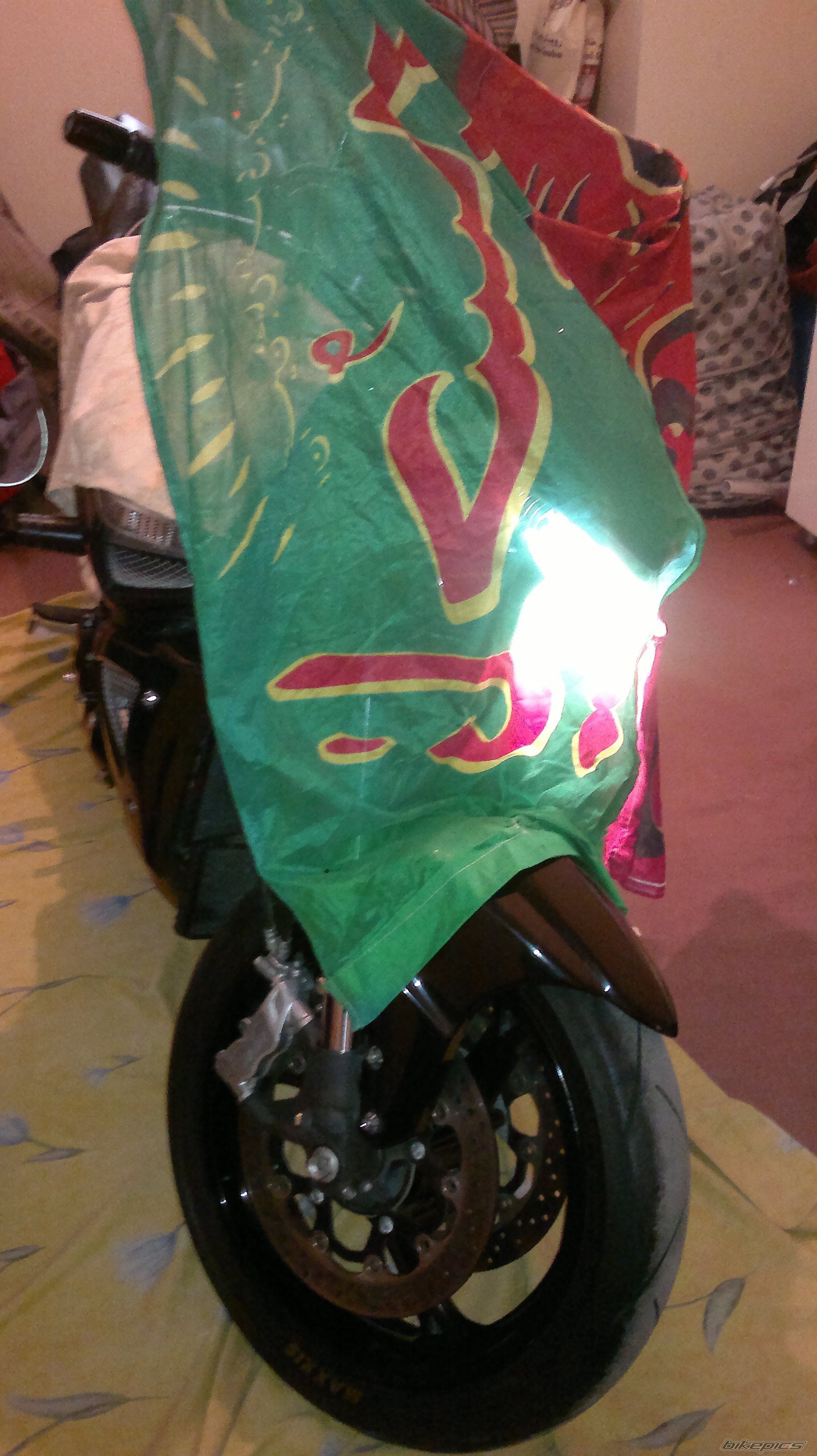 Photo 2541629