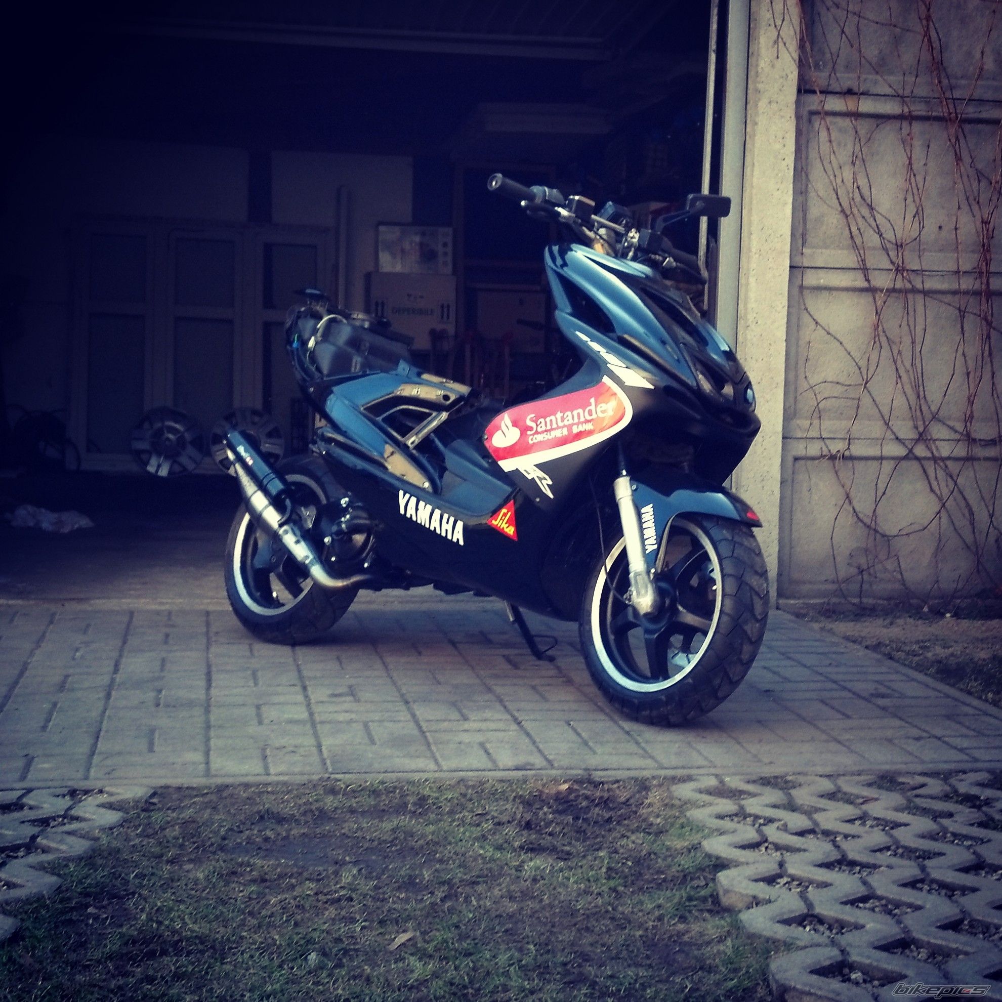 Photo 2541652