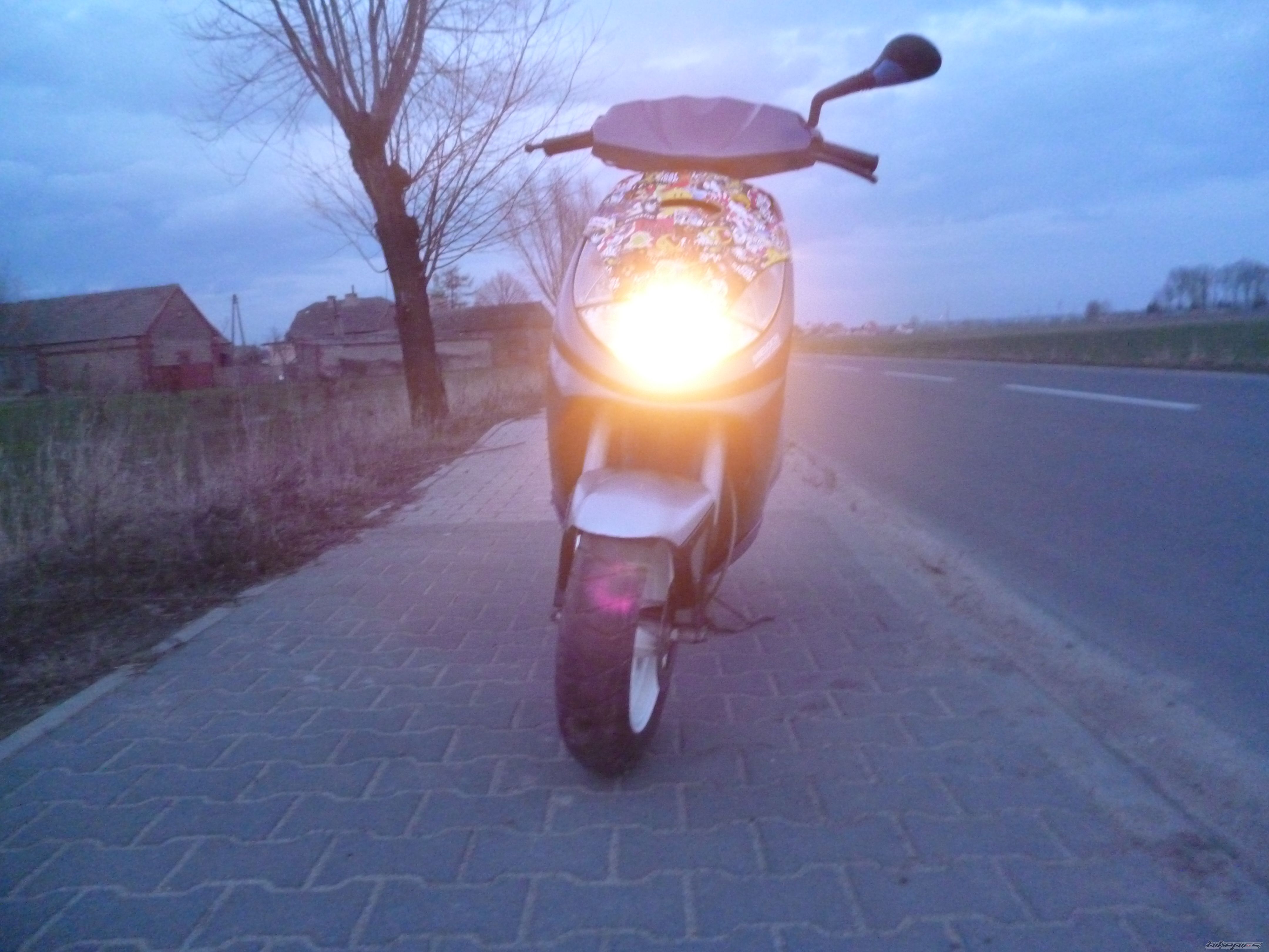 Photo 2541664