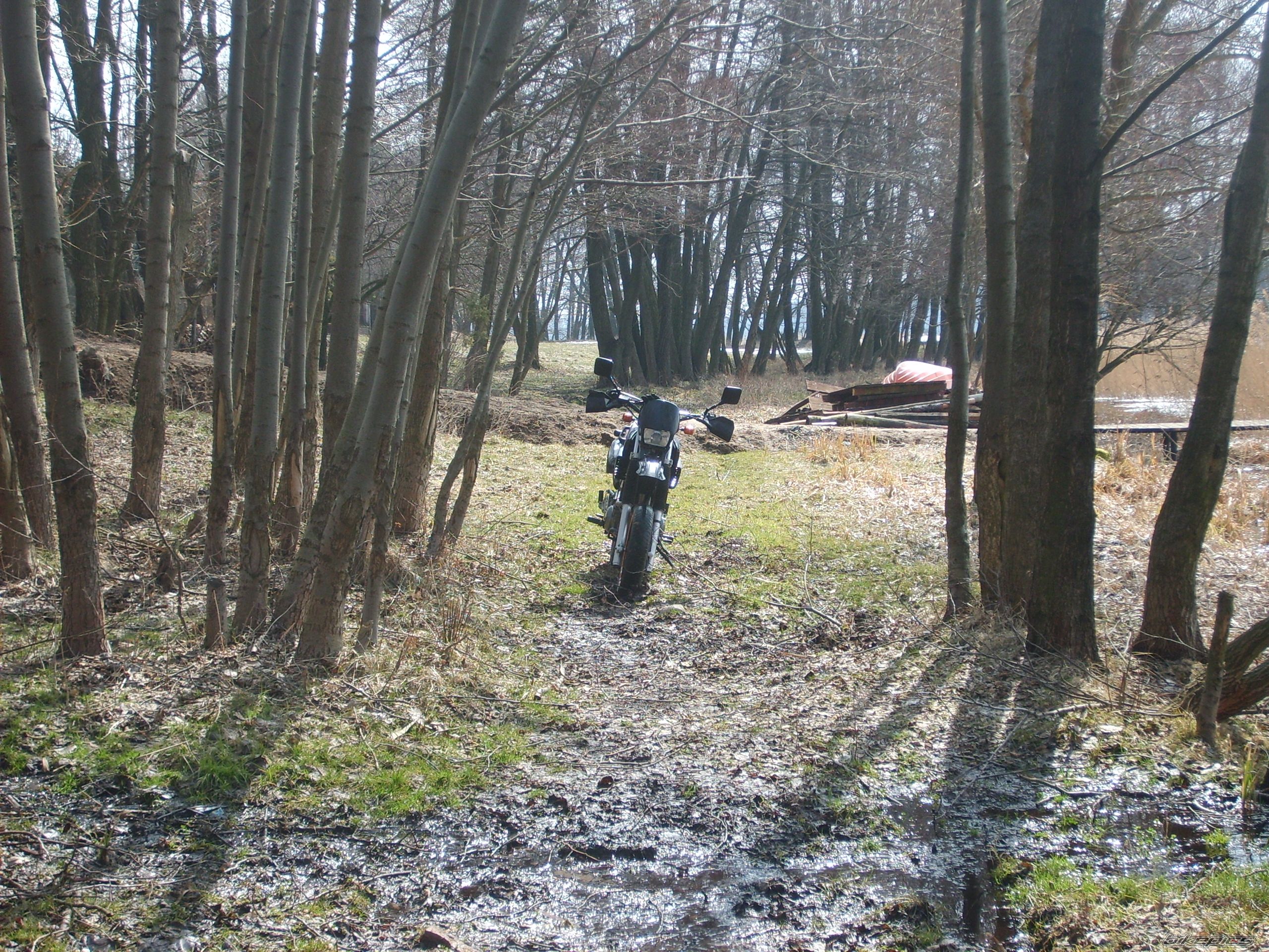 Photo 2541773