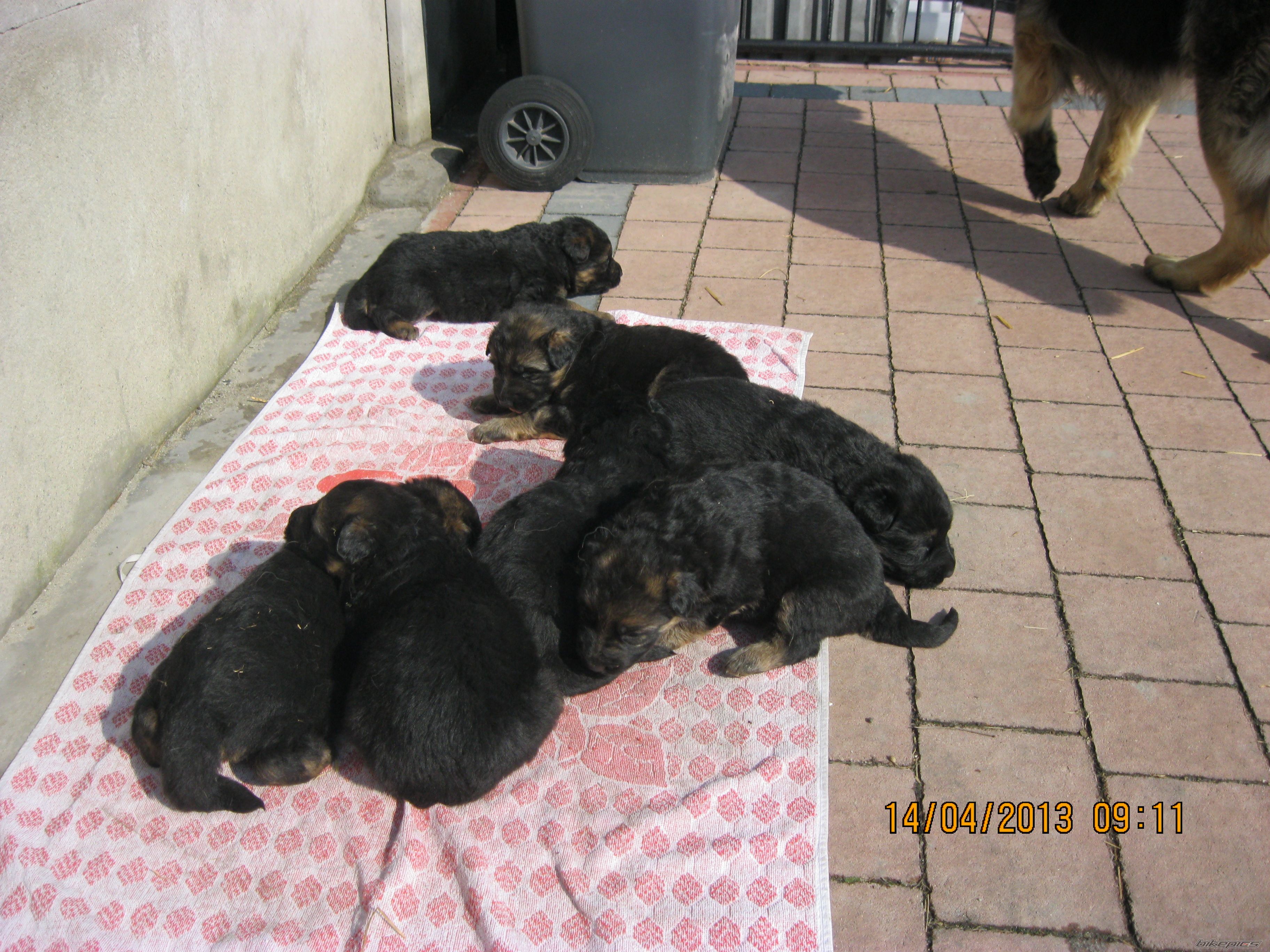 Photo 2541831