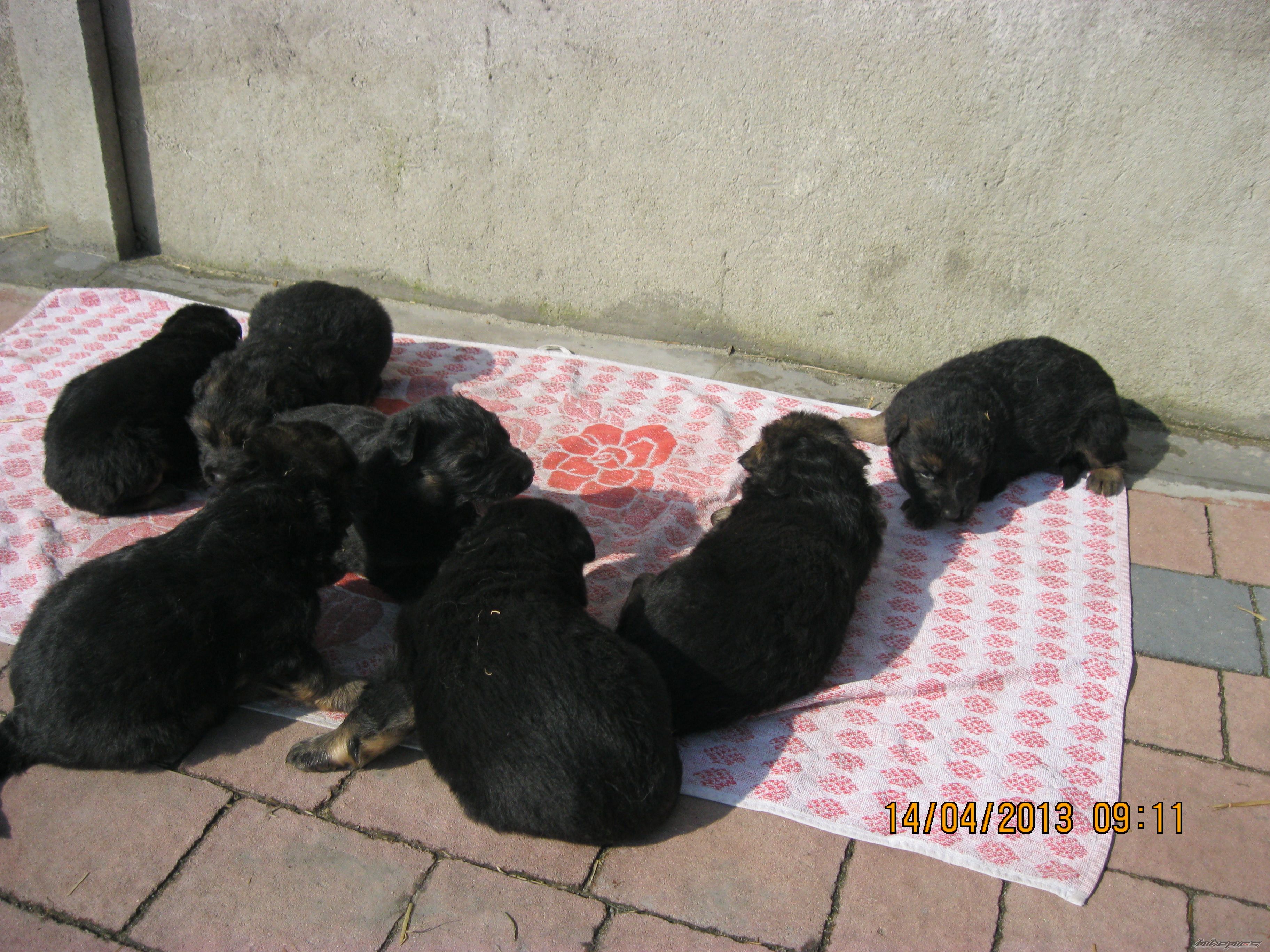 Photo 2541833