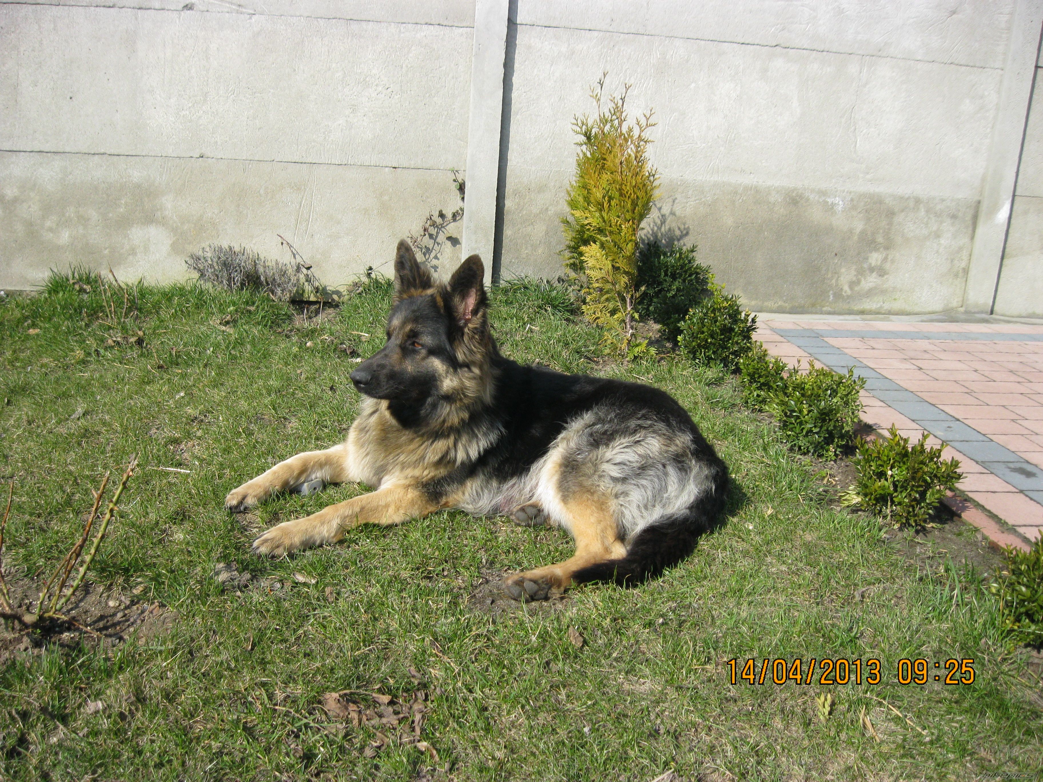 Photo 2541835