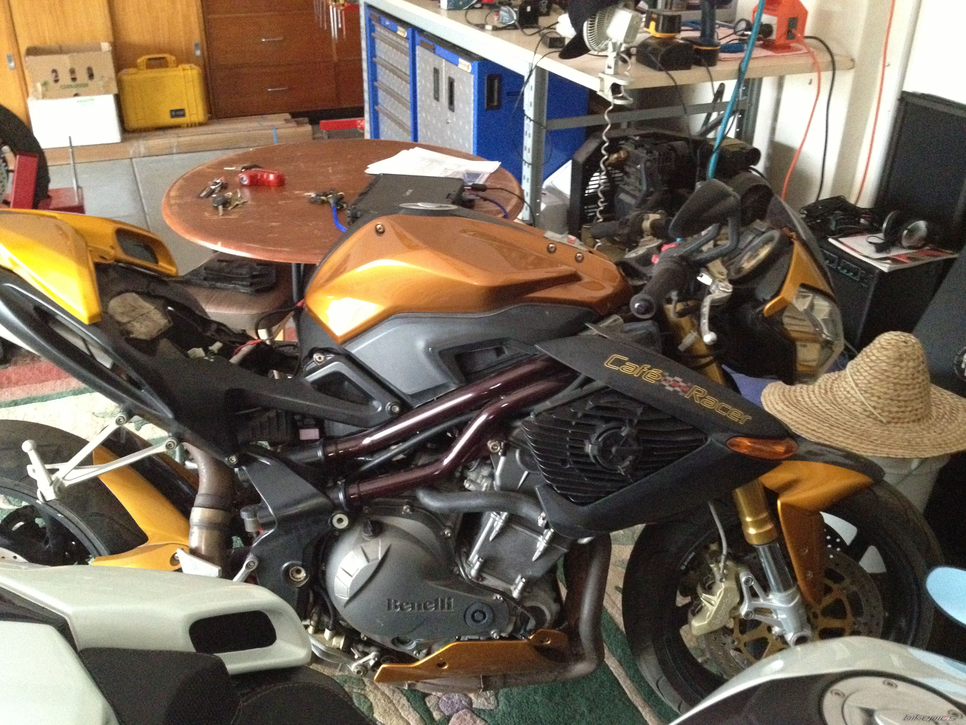 Photo 2541839