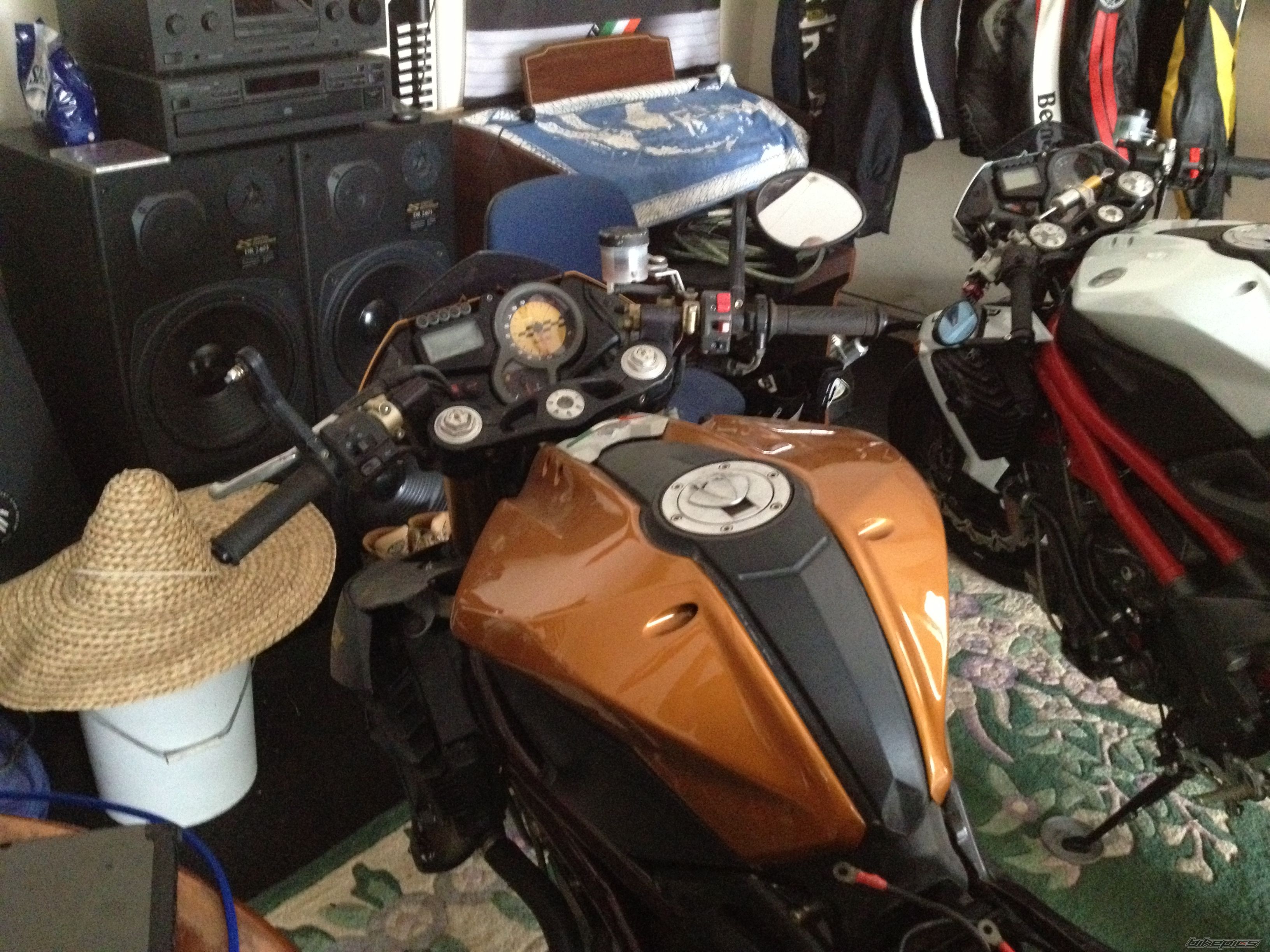 Photo 2541840