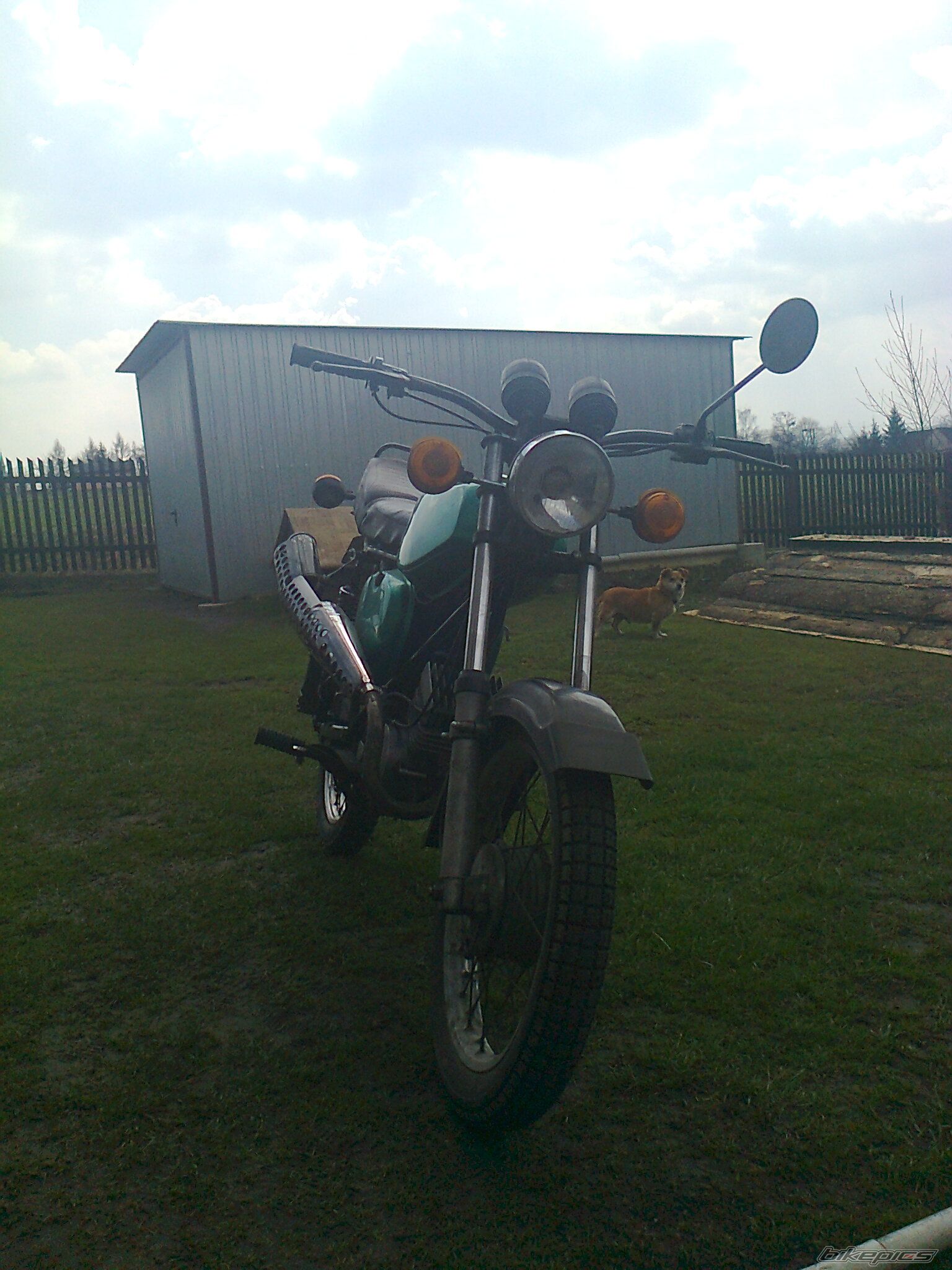 Photo 2541894