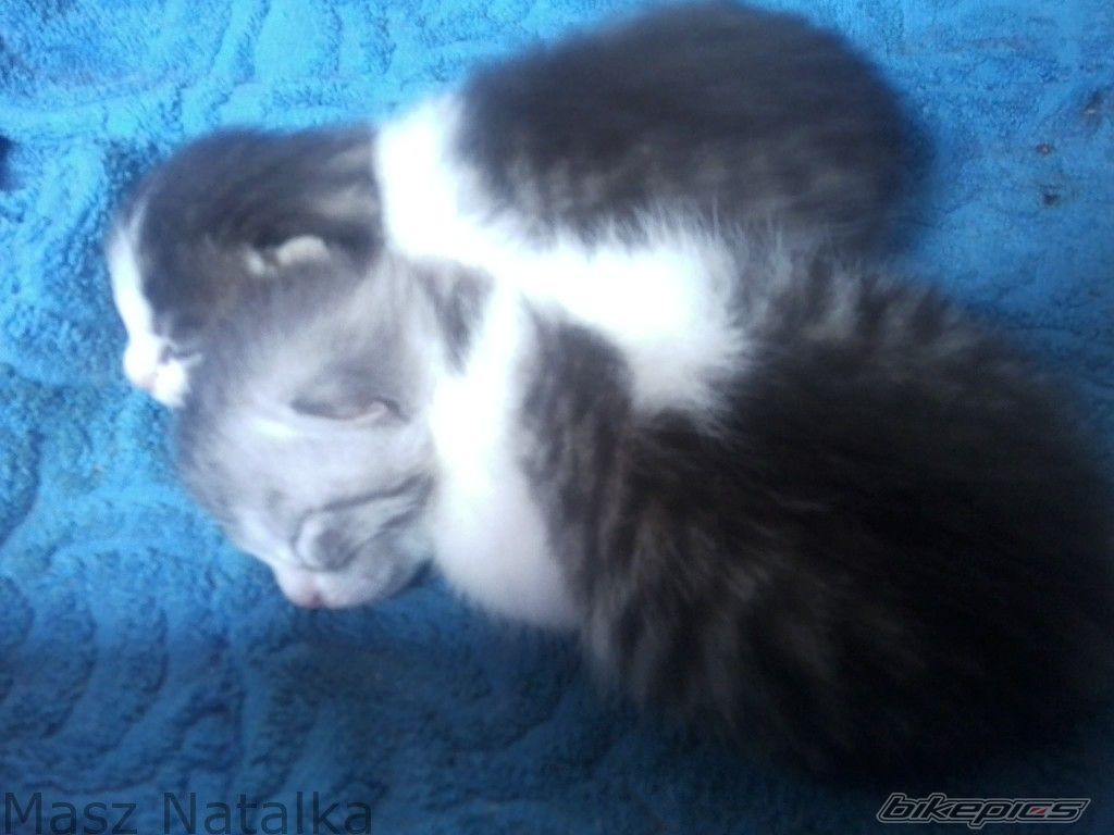 Photo 2541939