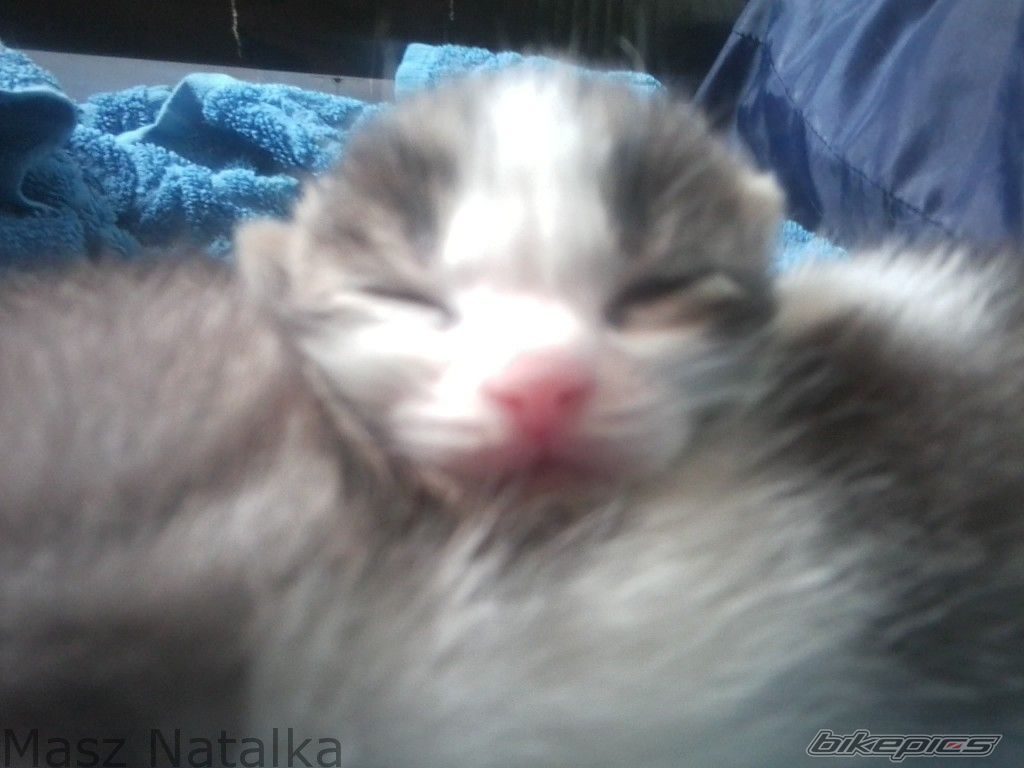 Photo 2541941