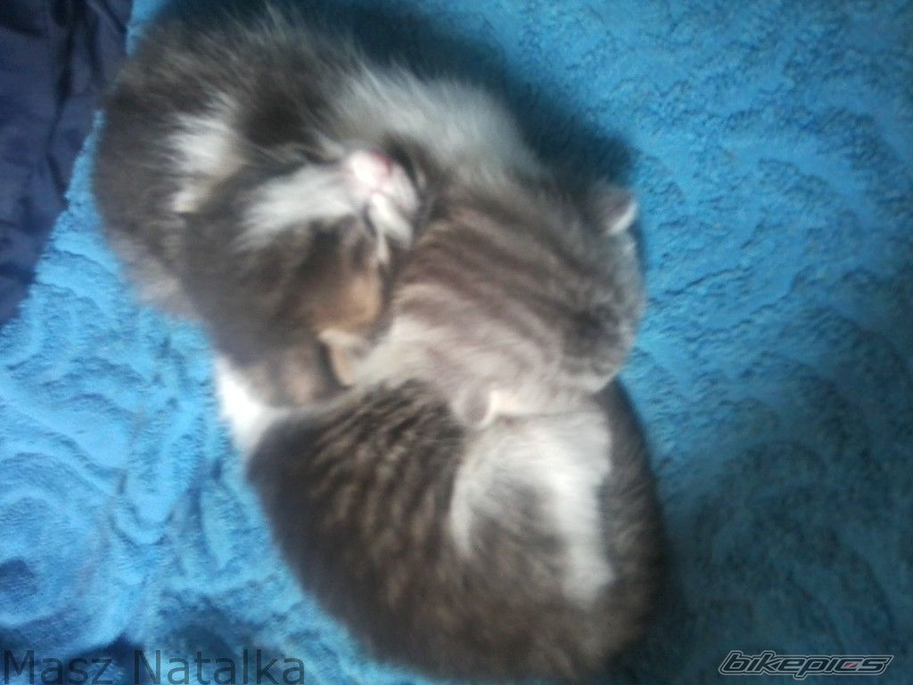 Photo 2541942