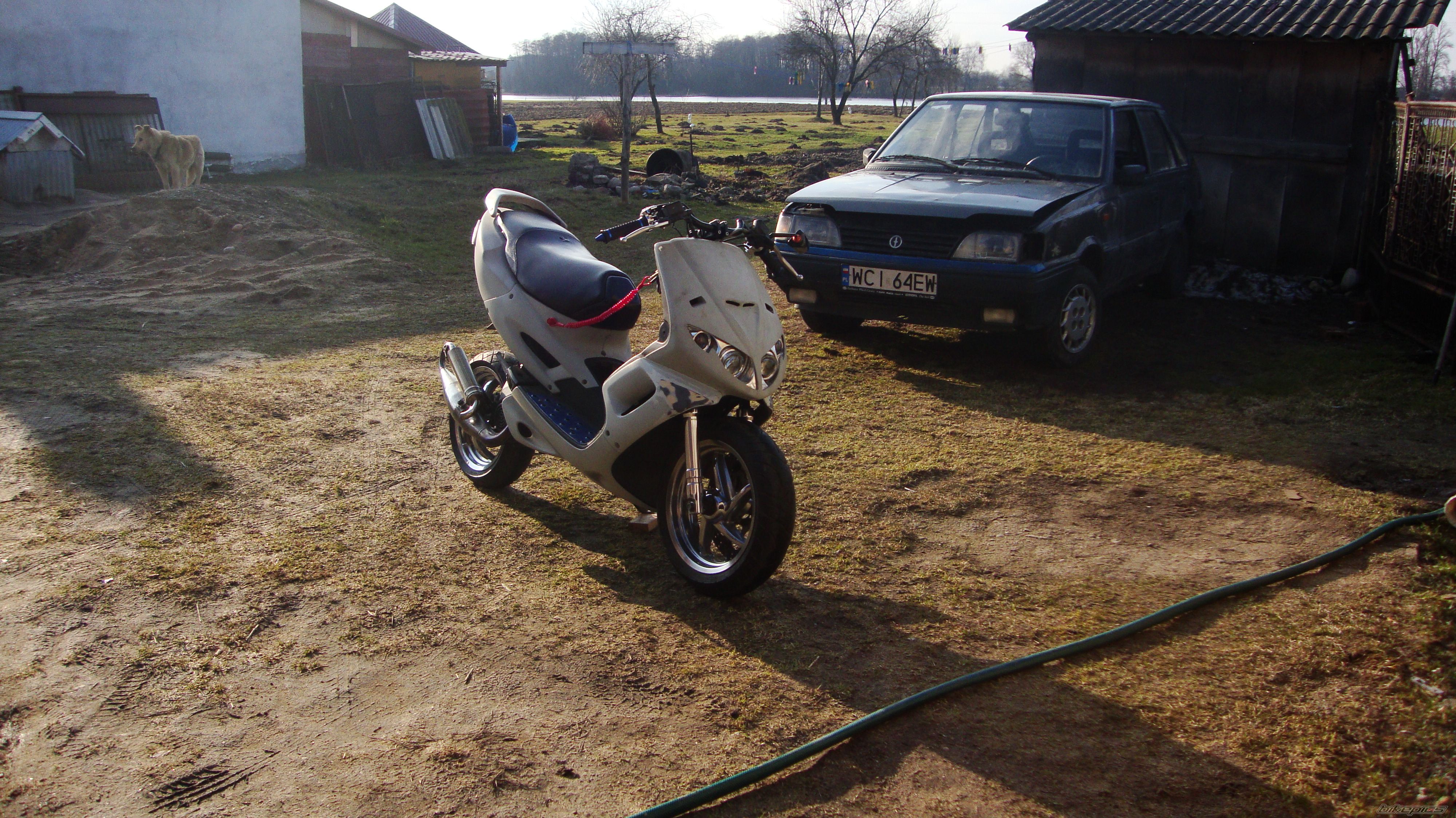 Photo 2542061