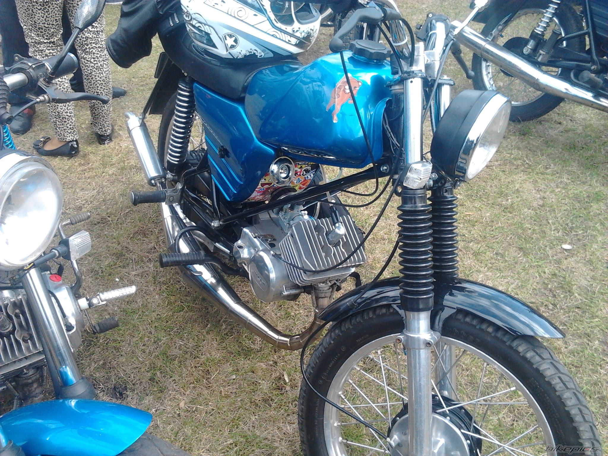 Photo 2542118