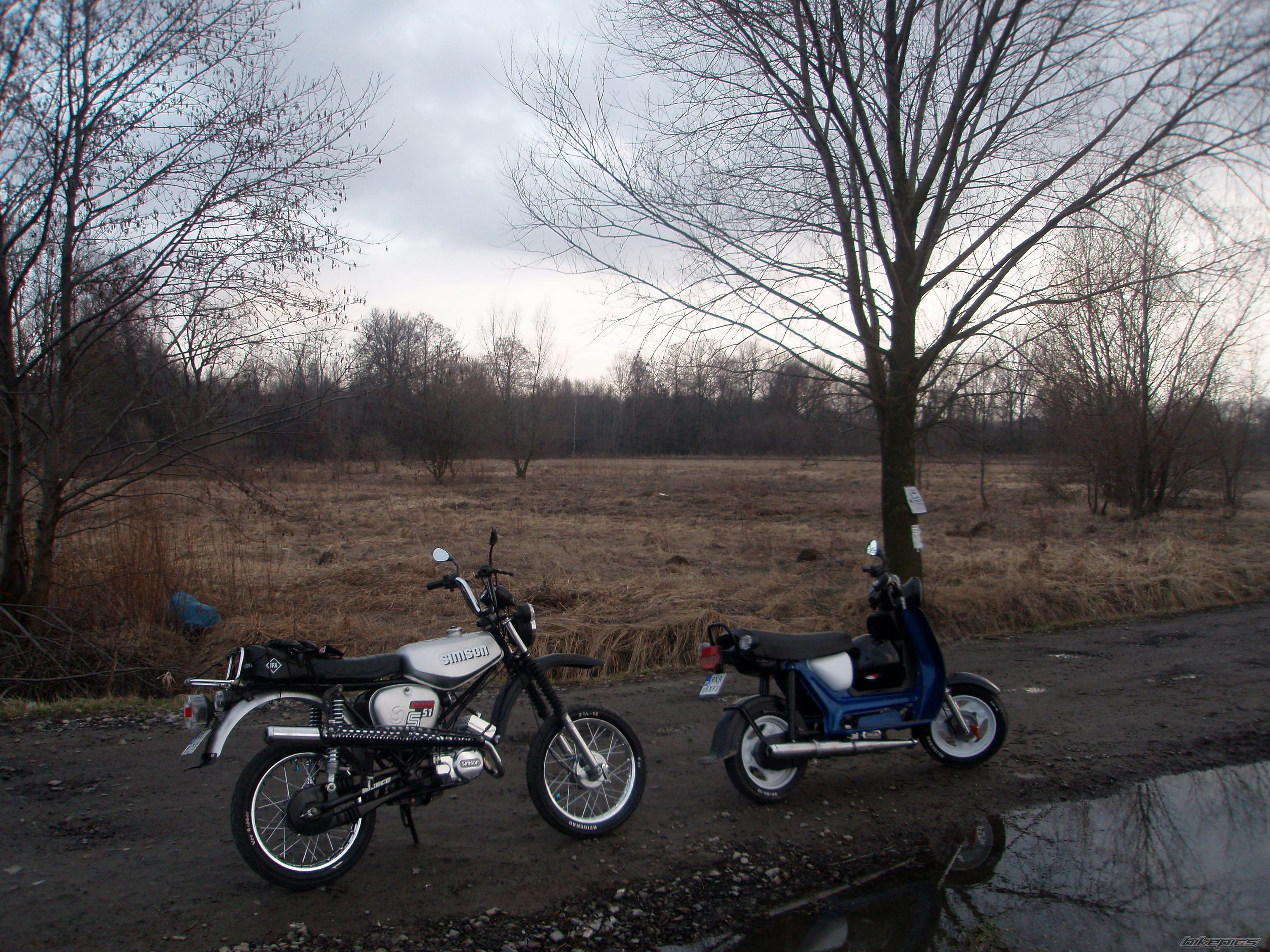 Photo 2542128