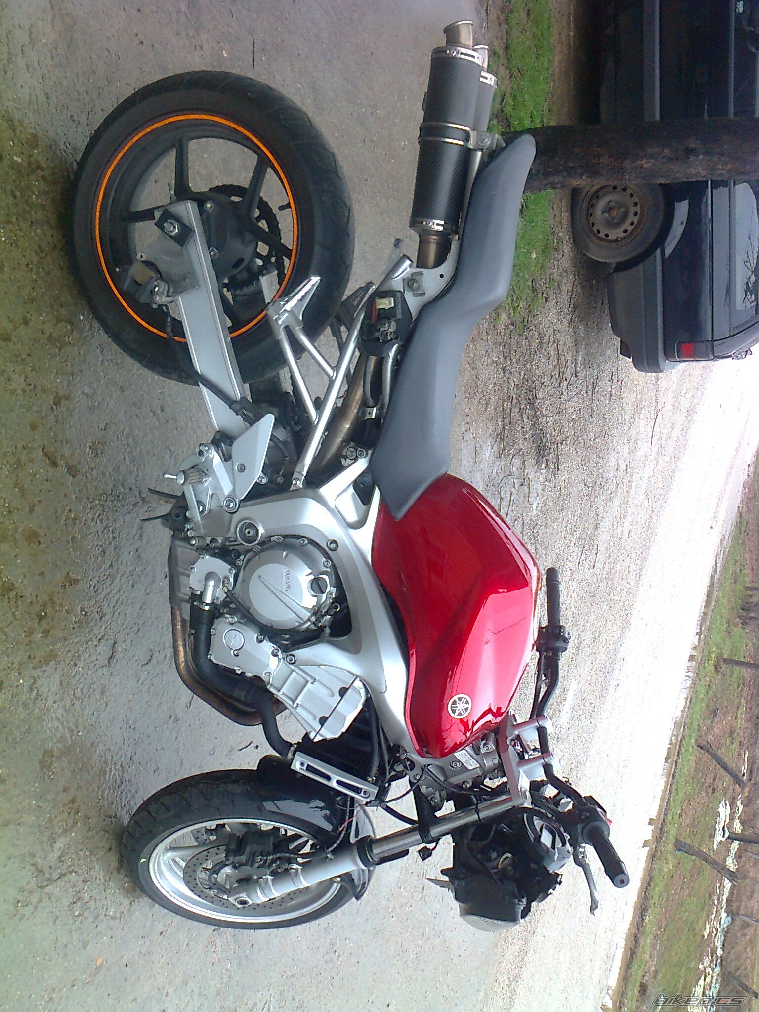Photo 2542221