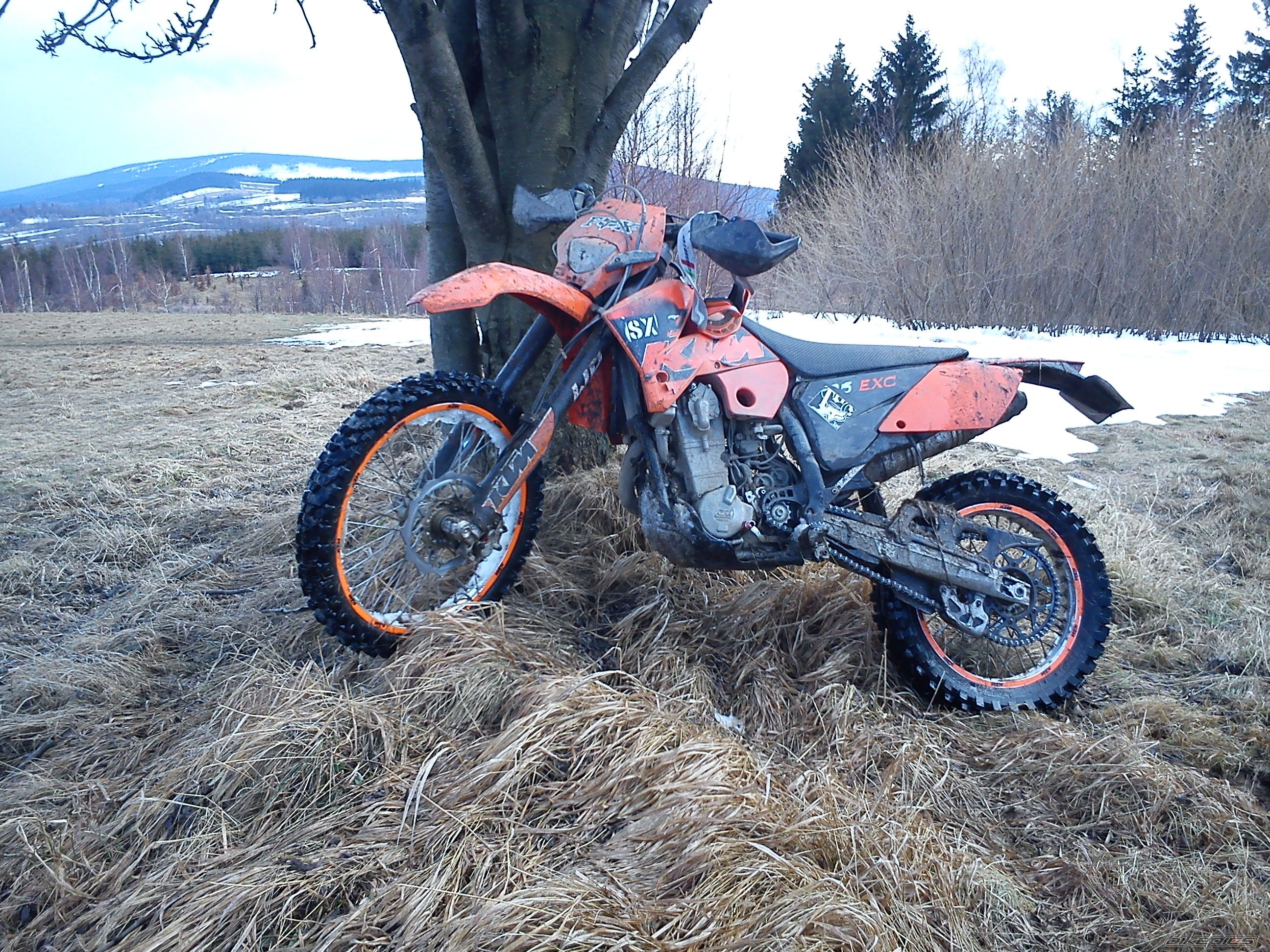 Photo 2542248