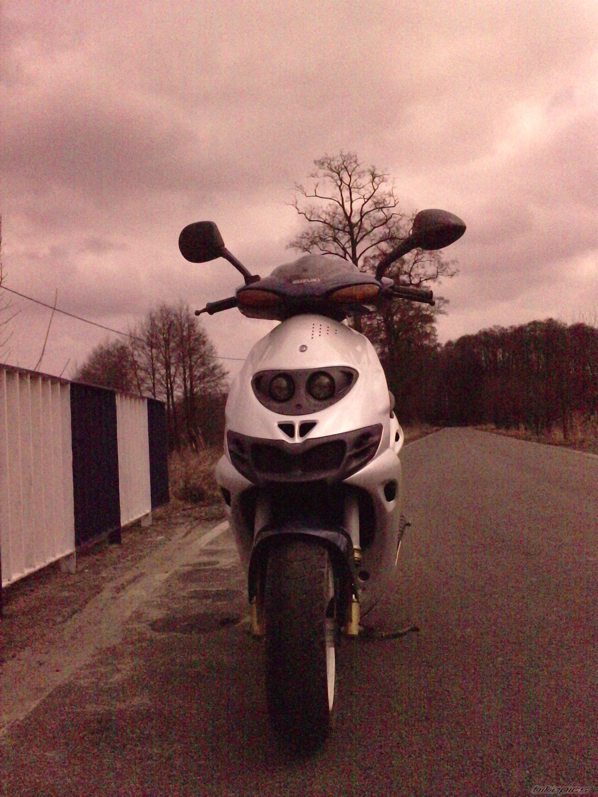 Photo 2542283