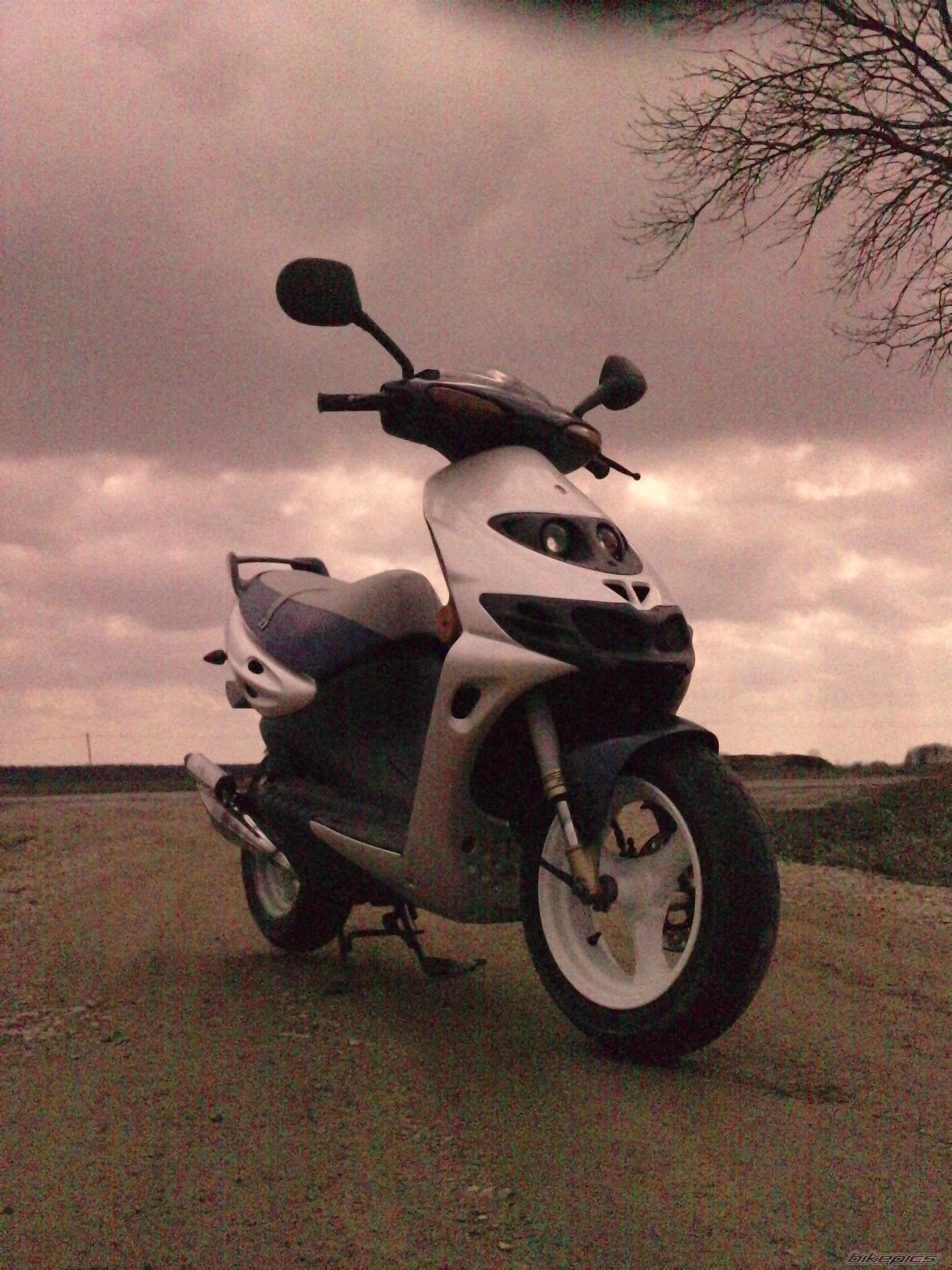 Photo 2542291