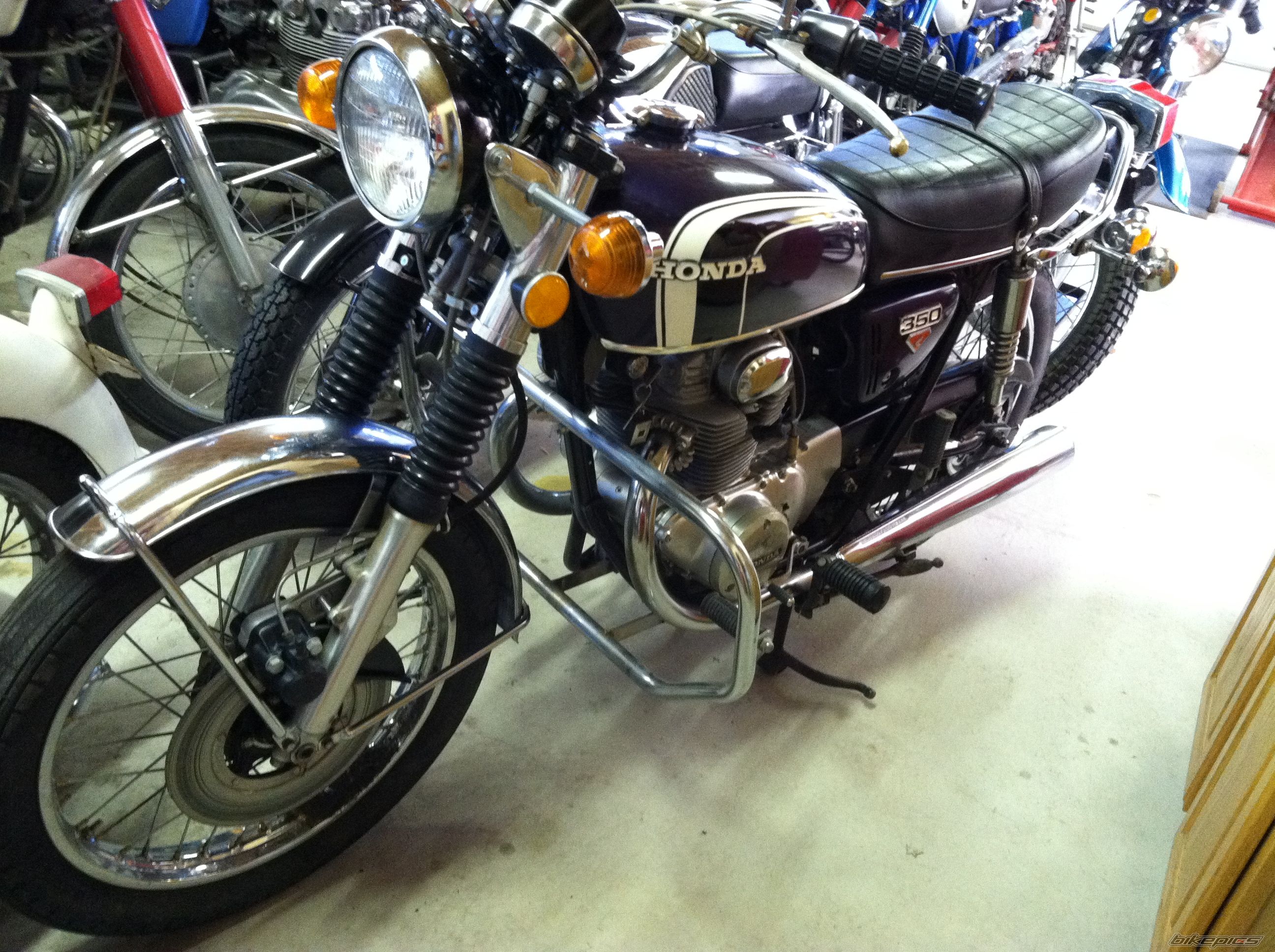Photo 2542394