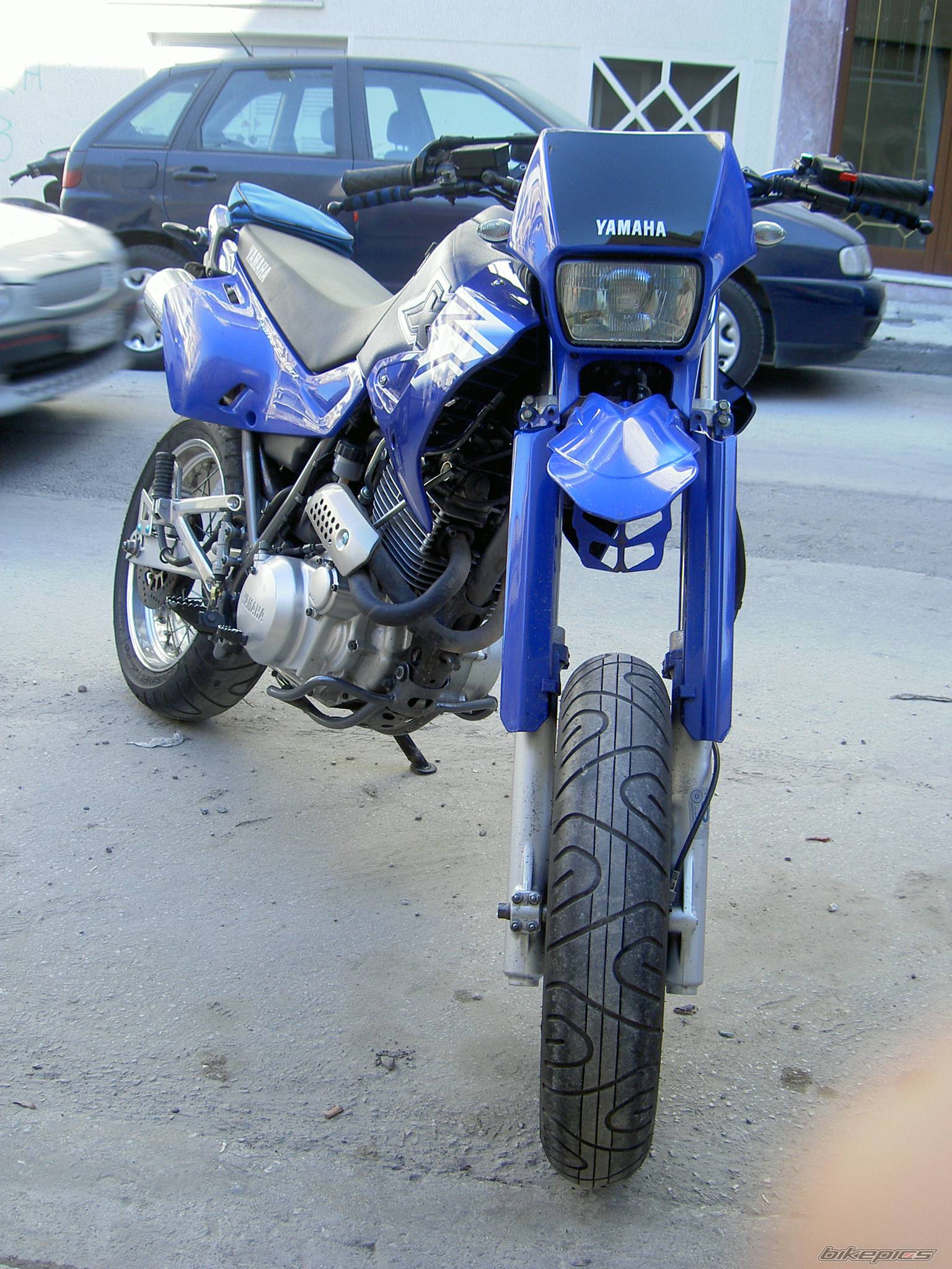 Photo 254242