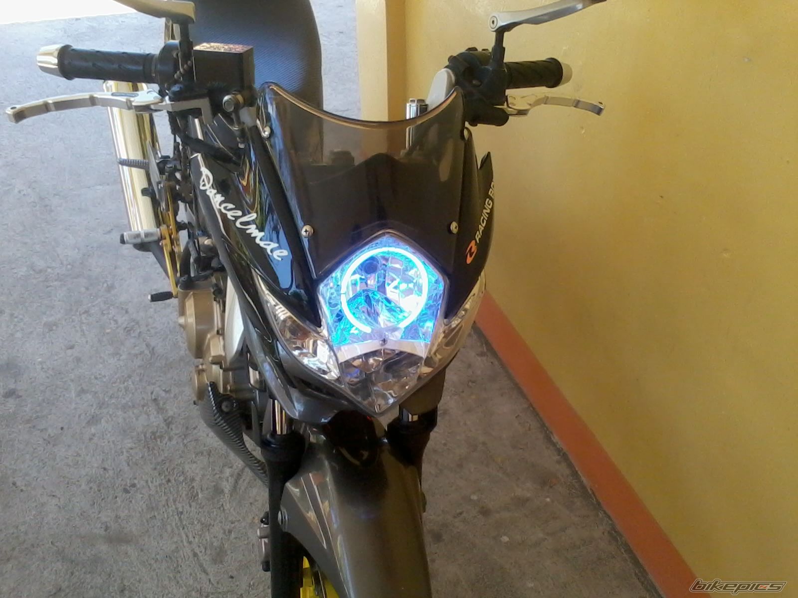 Photo 2542425