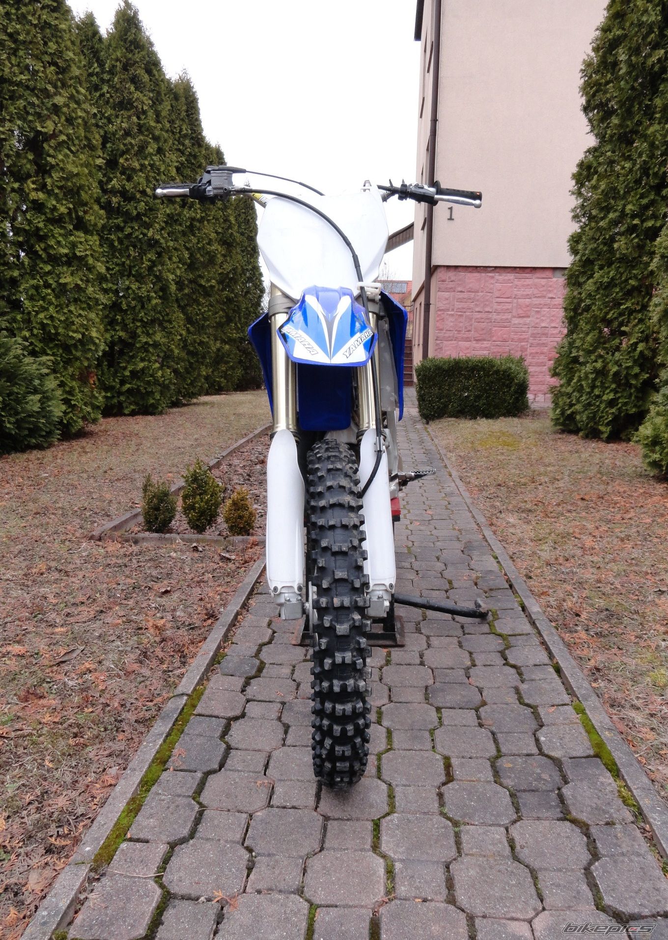 Photo 2542458