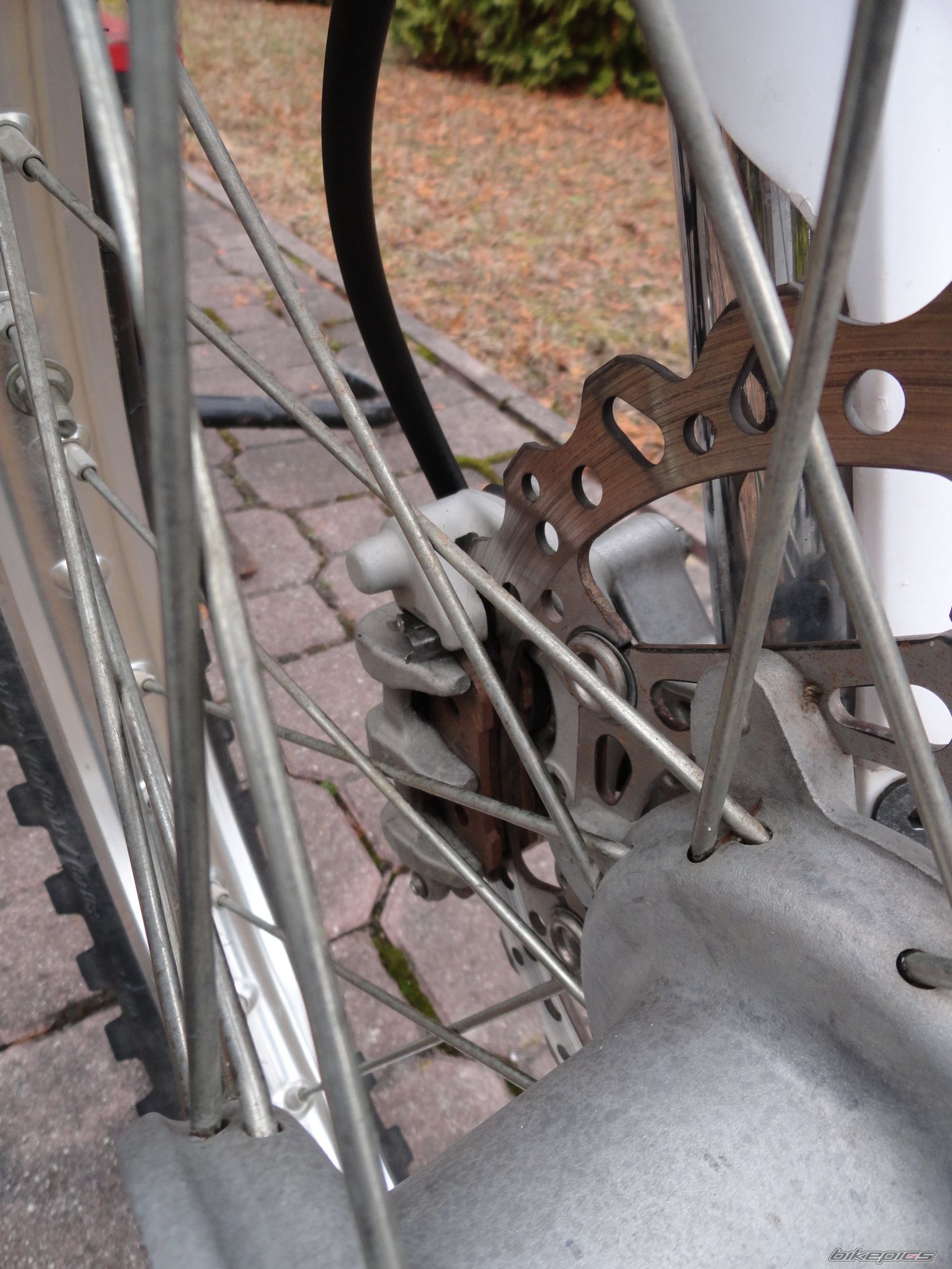 Photo 2542463