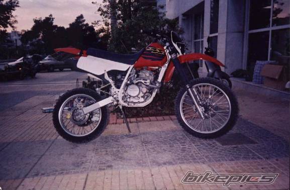 Photo 254247