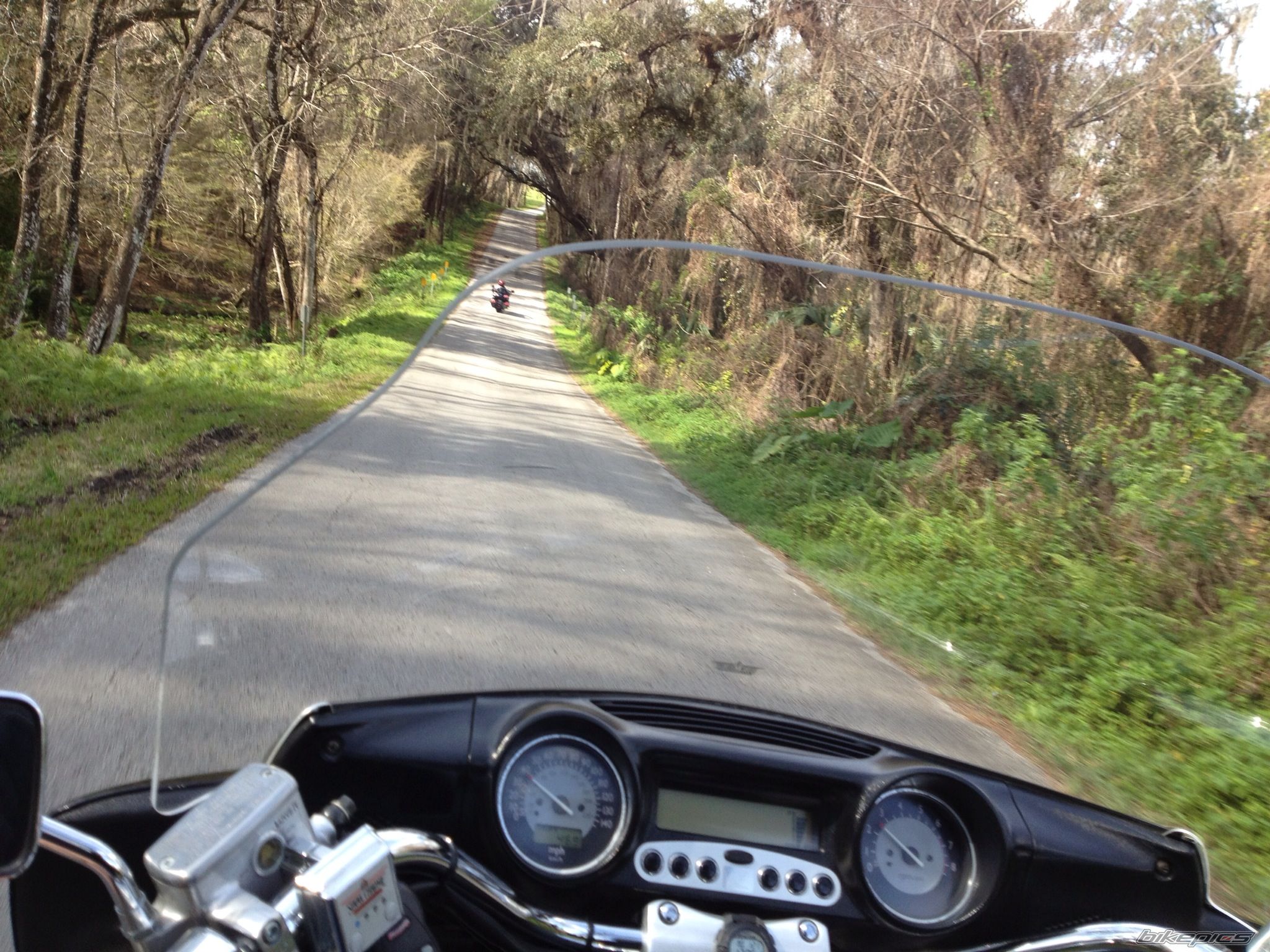 Photo 2542534