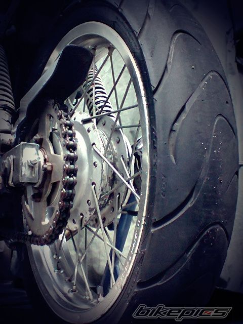 Photo 2542569