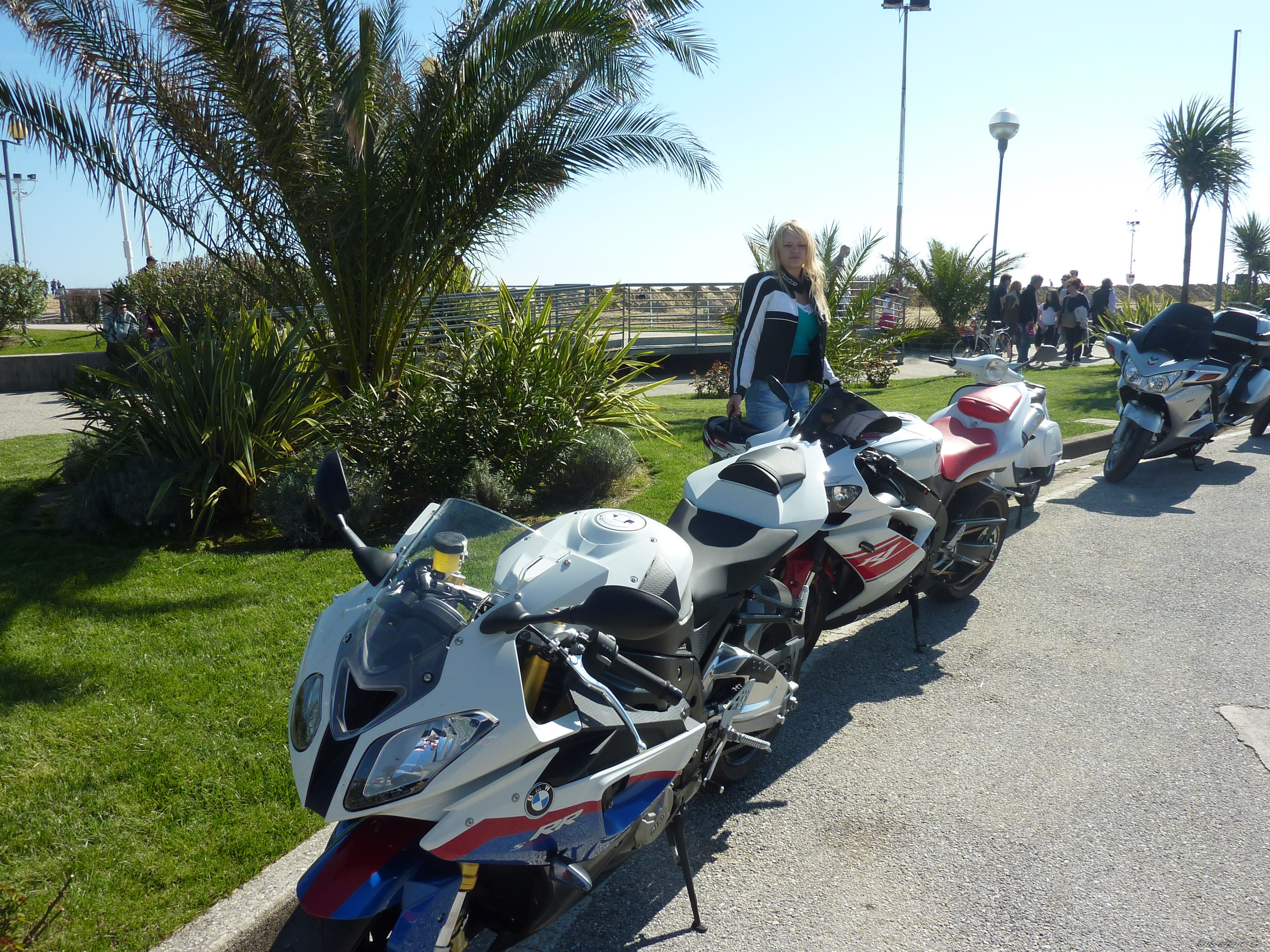 Photo 2542570