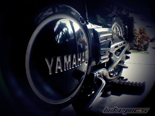 Photo 2542577