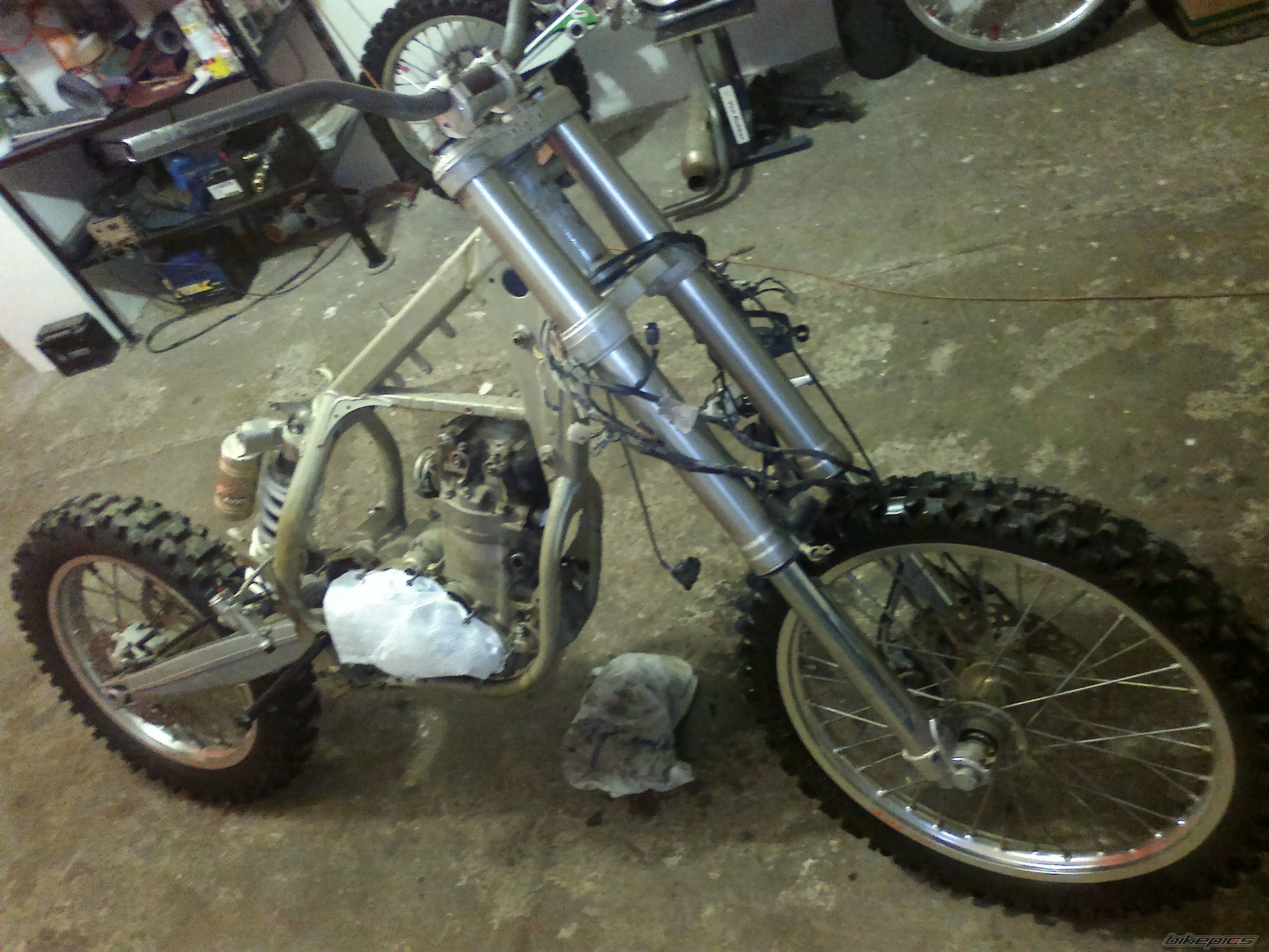 Photo 2542589
