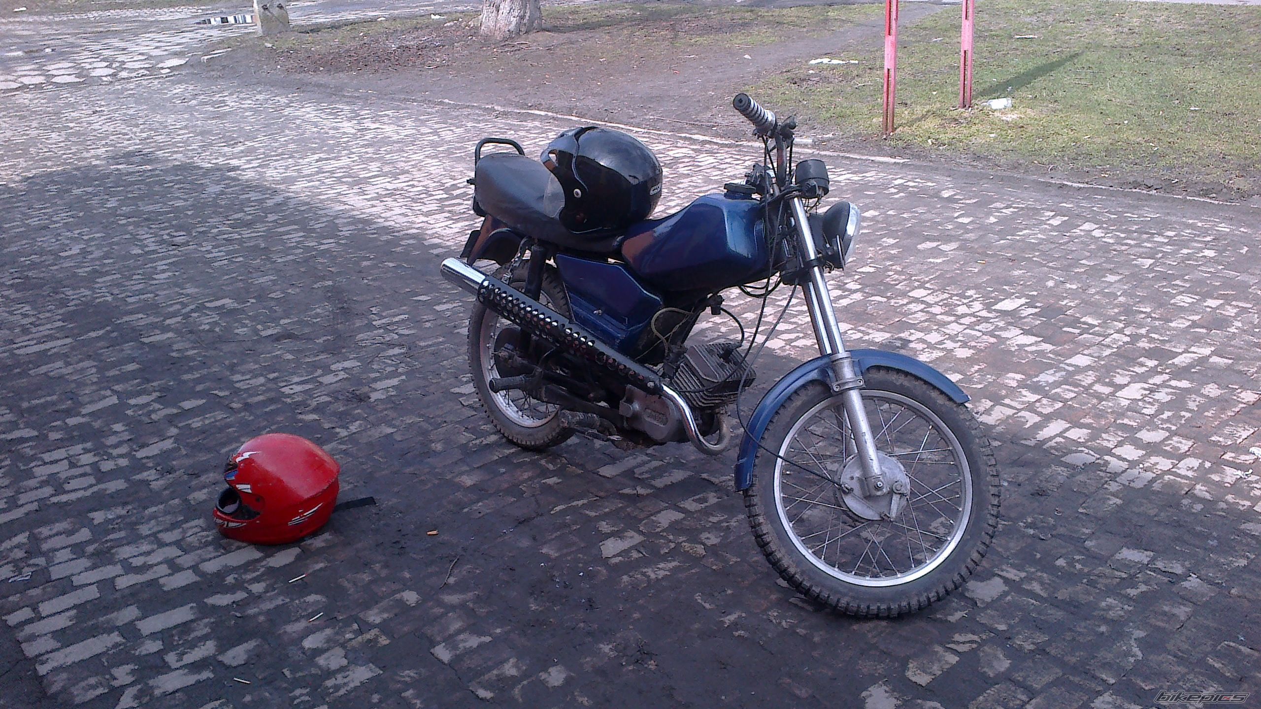 Photo 2542606