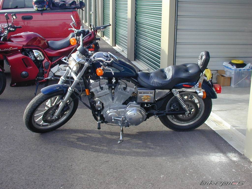 Photo 254265