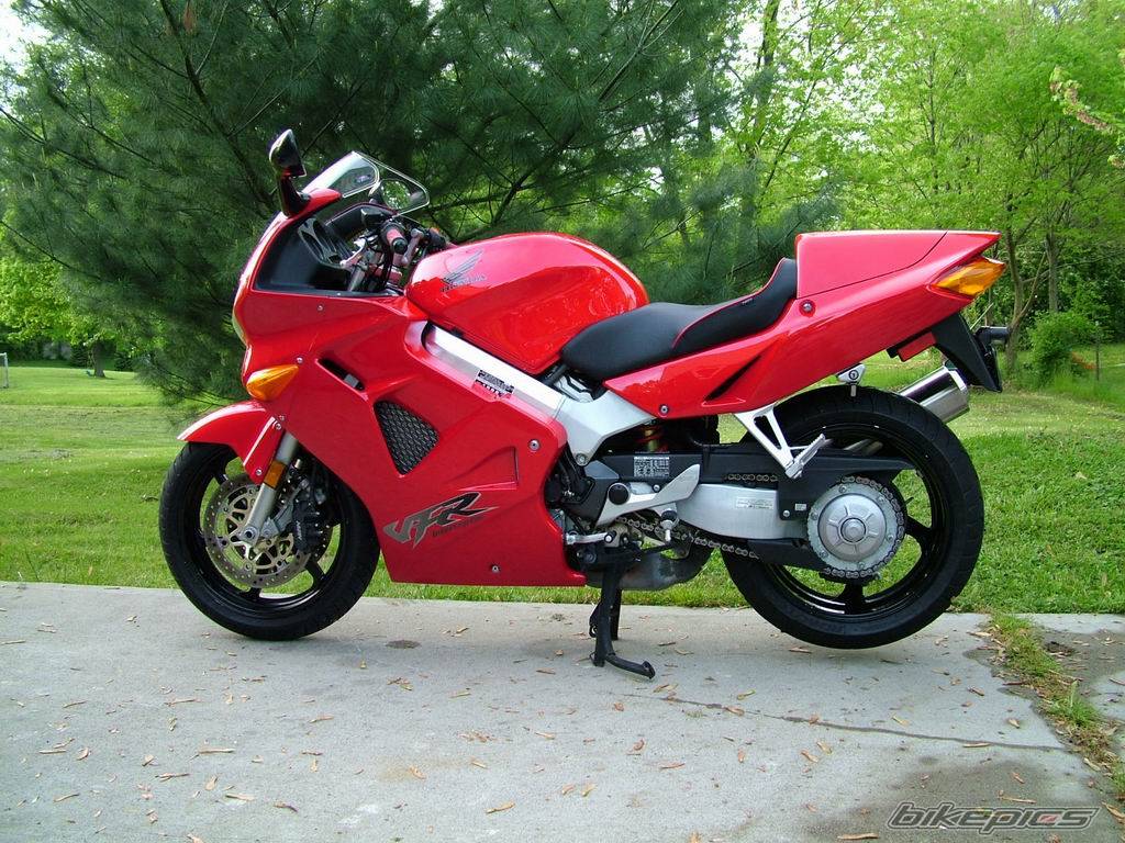 Photo 254268