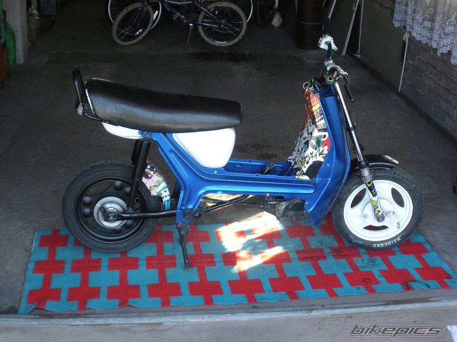 Photo 2542728