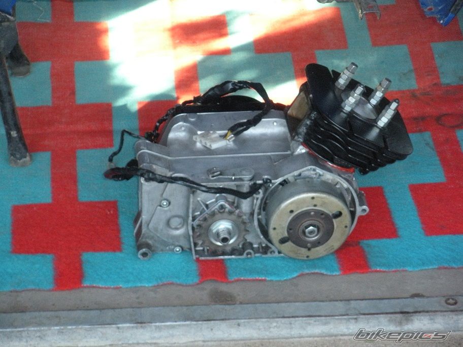 Photo 2542730