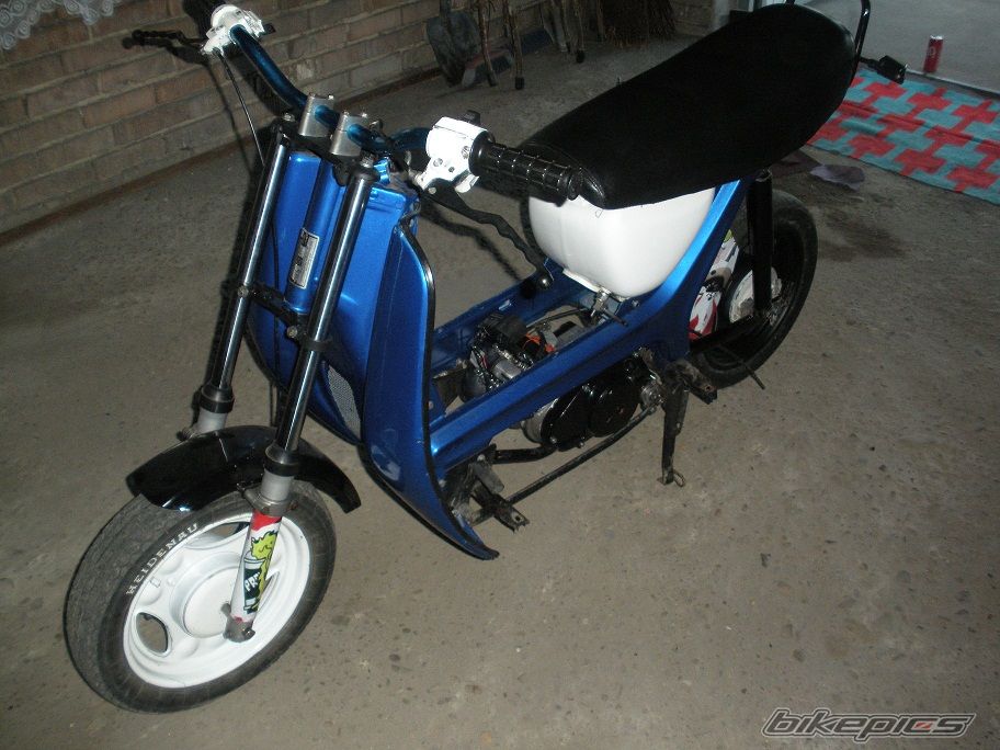 Photo 2542731