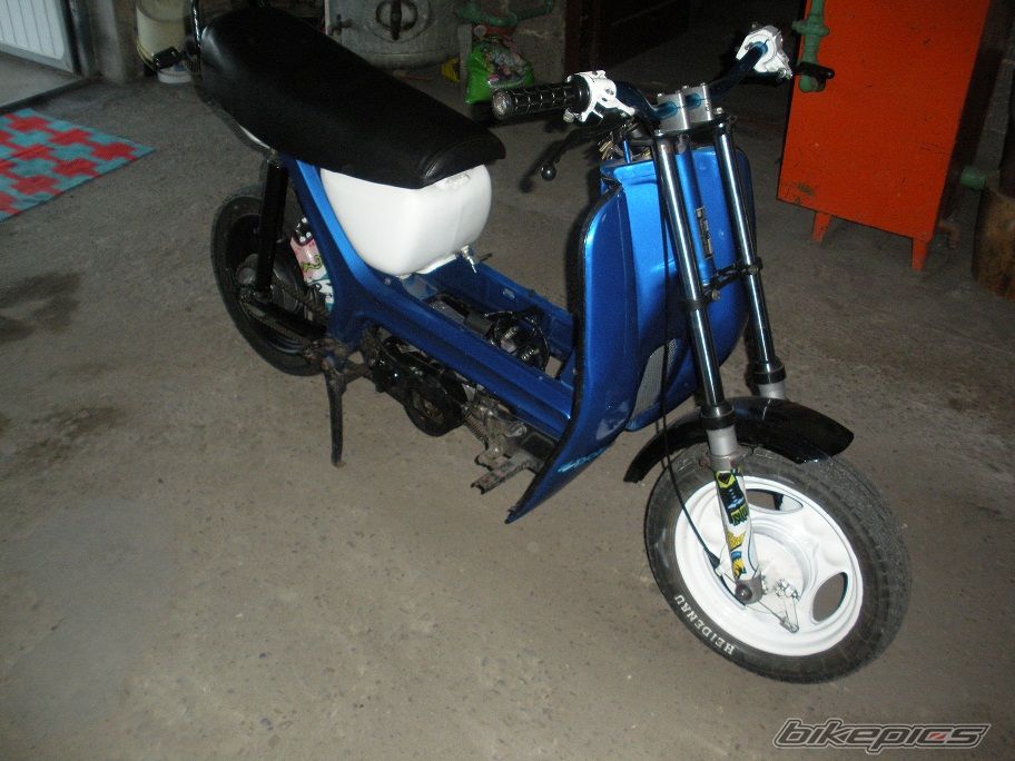 Photo 2542734