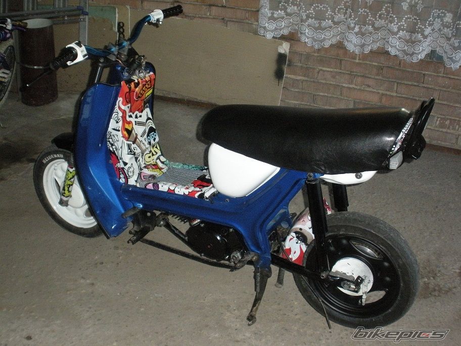 Photo 2542736