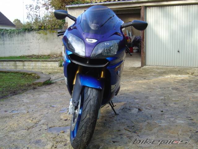 Photo 254279