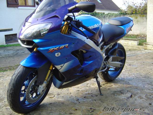 Photo 254281