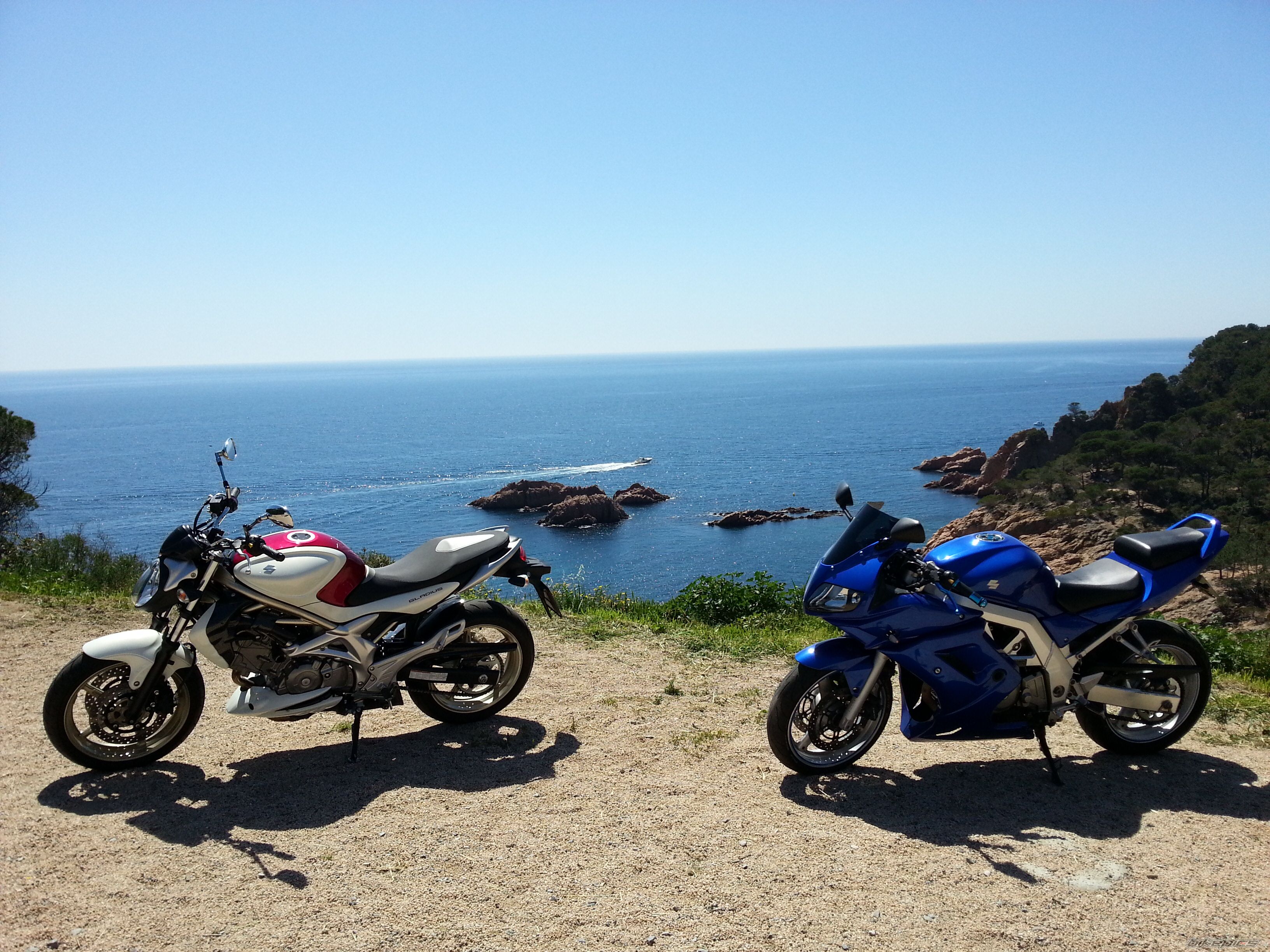 Photo 2542838