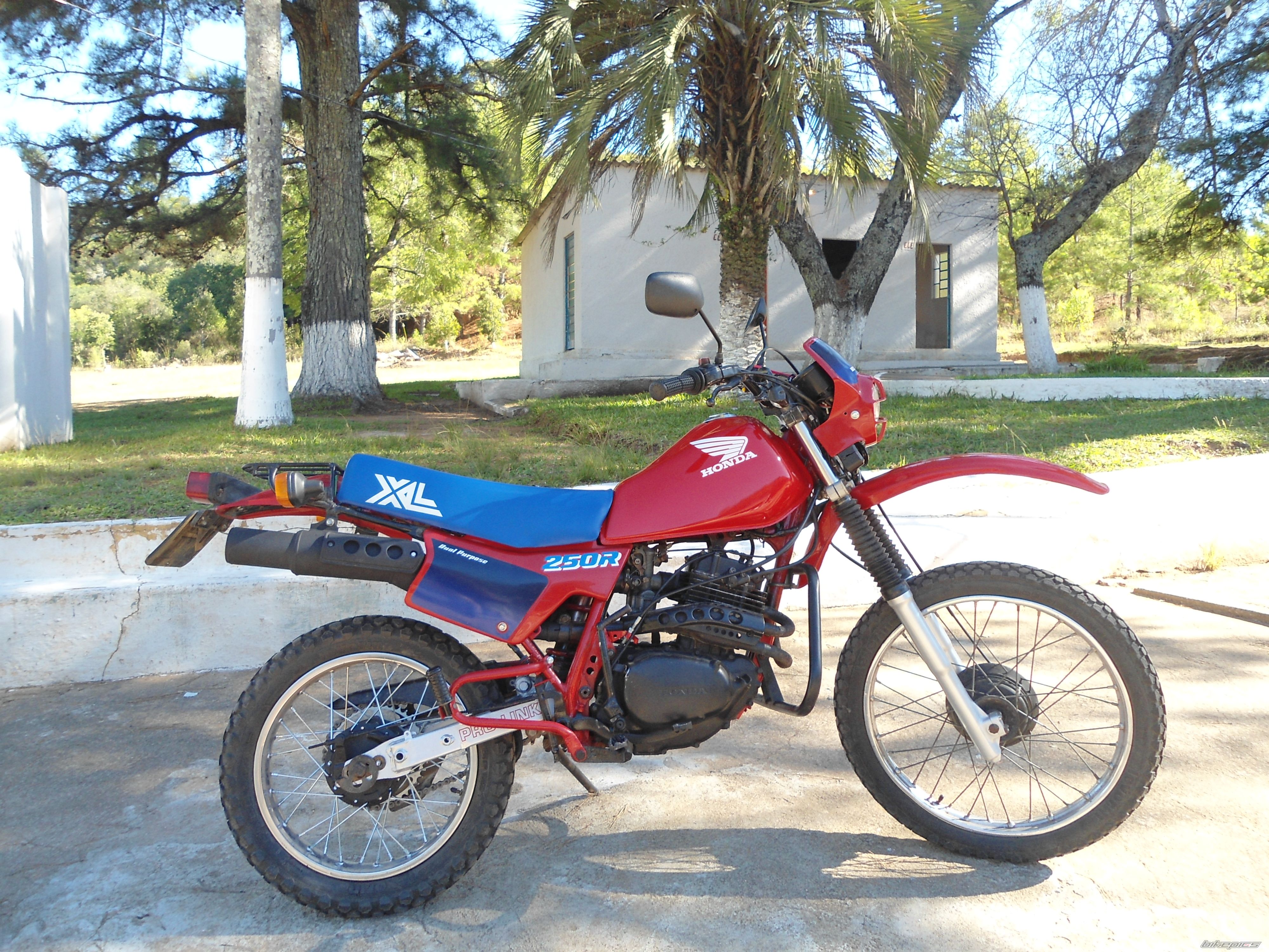 Photo 2542853