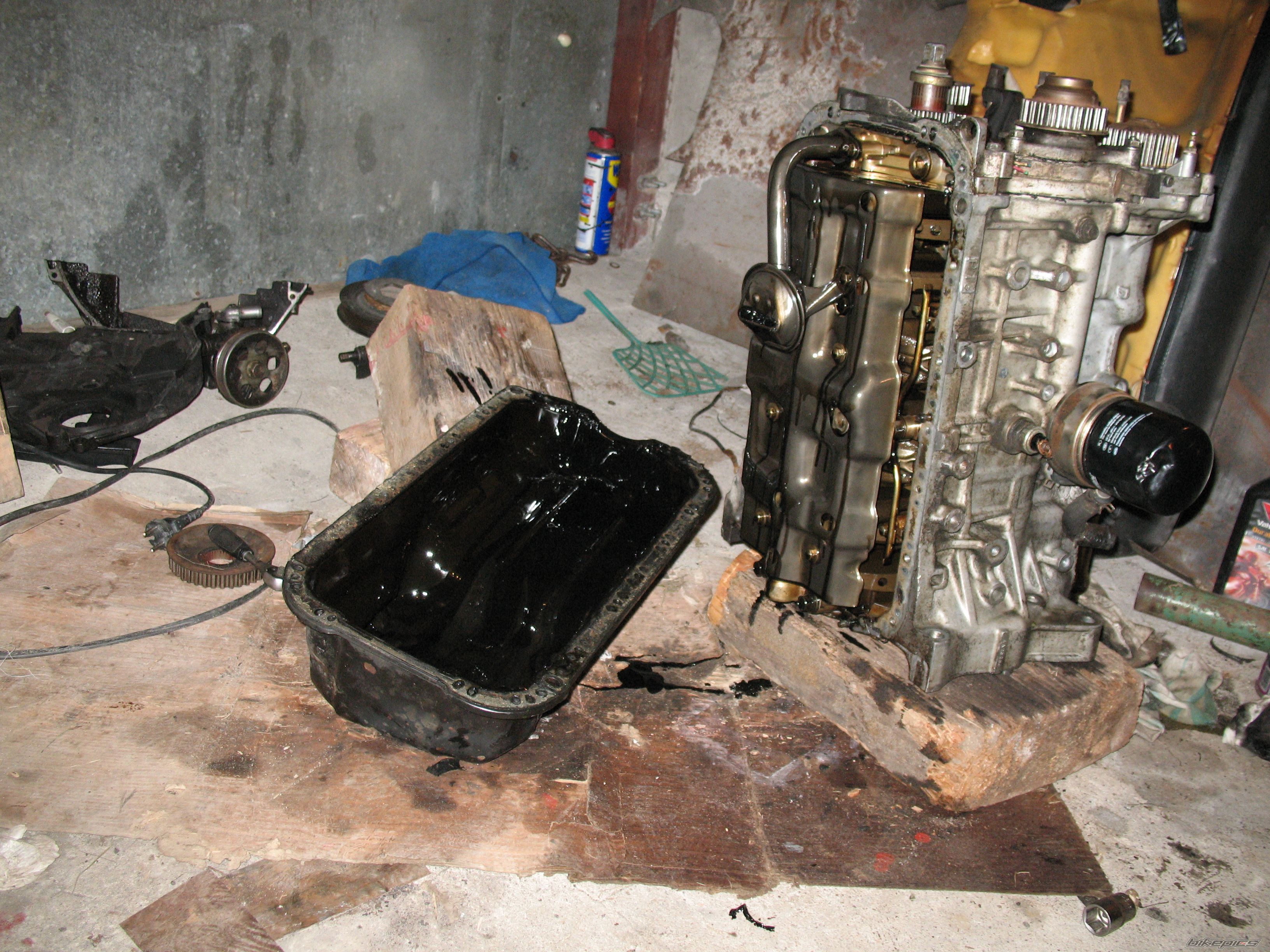 Photo 2542857