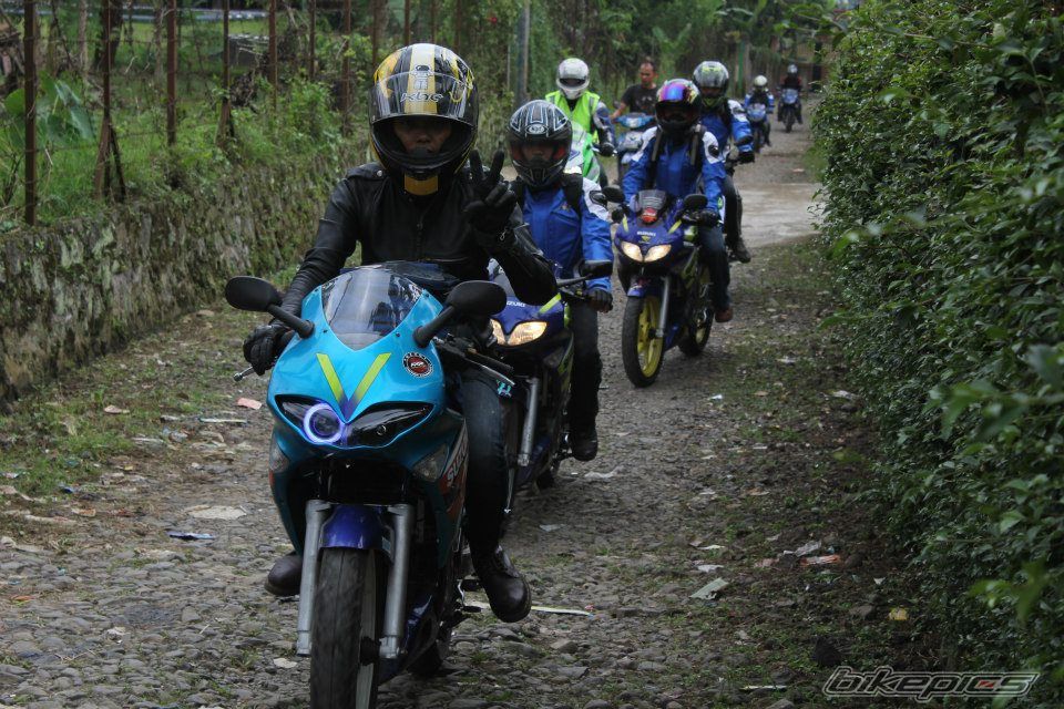 Photo 2542908