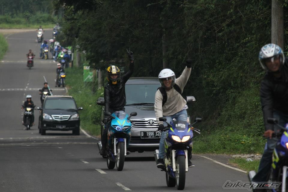 Photo 2542910